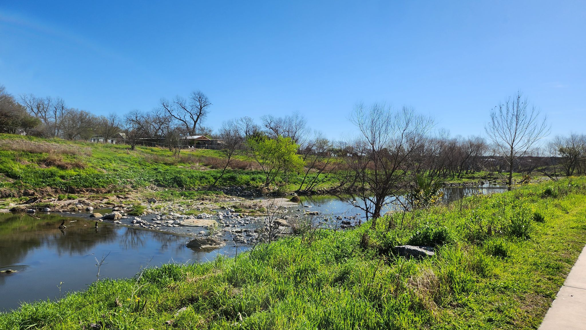 Grassy riverbank with green trees and calm water under a clear blue sky. - Mission San Juan Capristrano – Historic Mission San José loop from 647