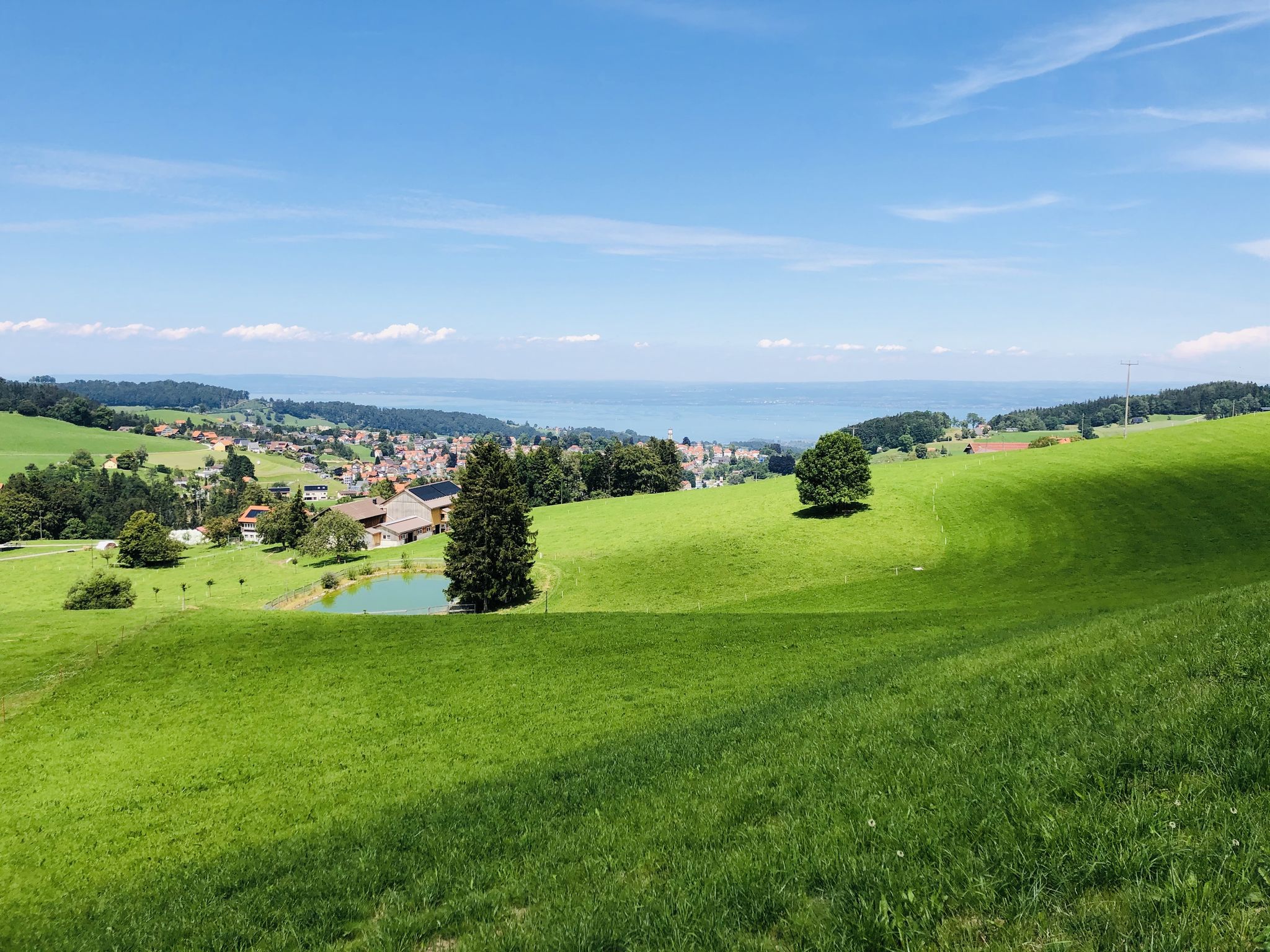 Blick über Heiden zum Bodensee
