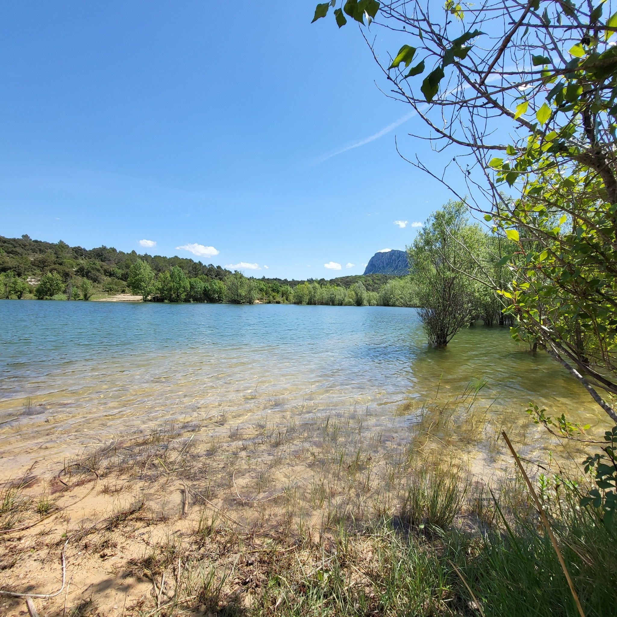 lac de la Jasse. au fond le pic St Loup