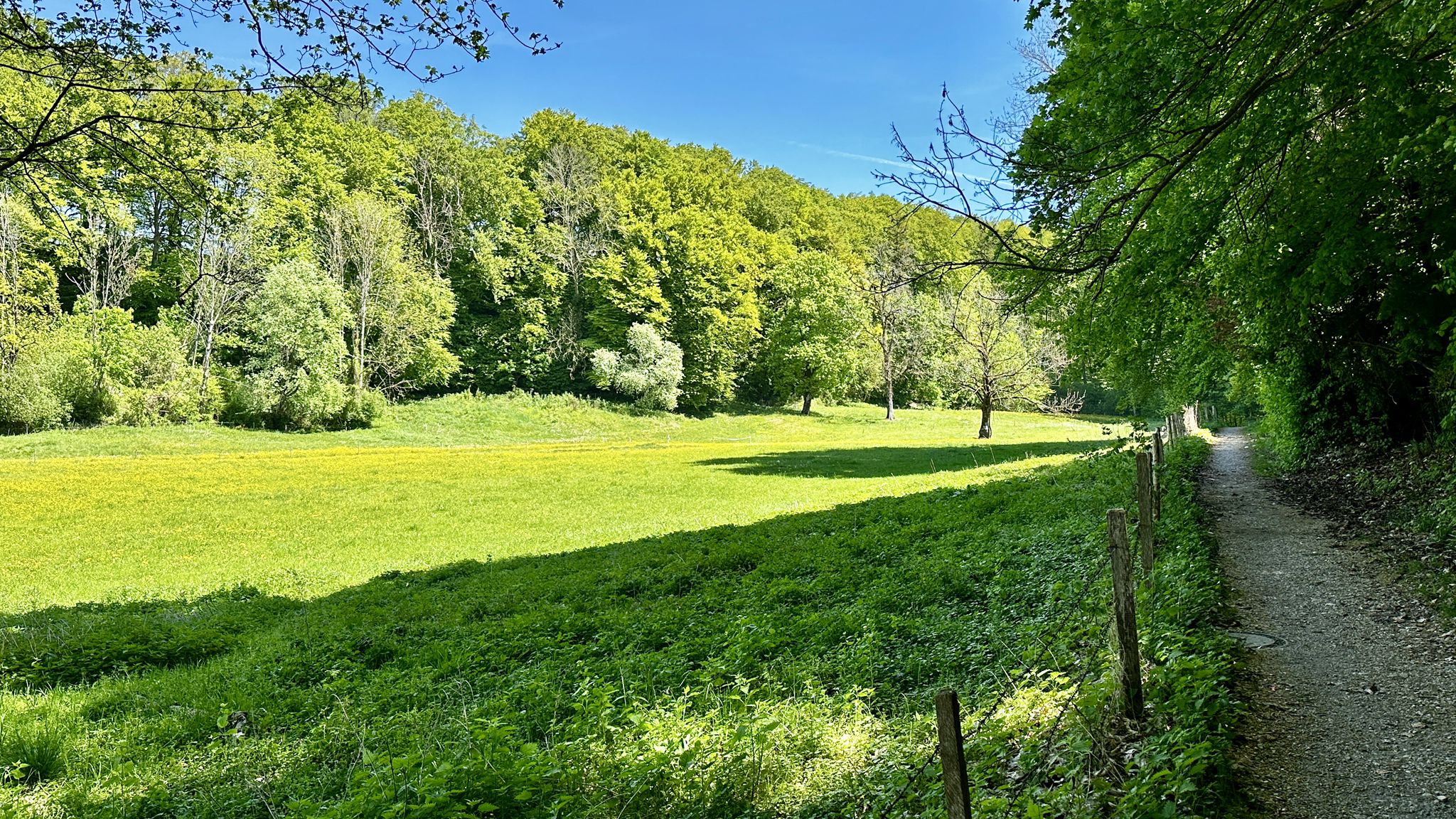 im Etztal