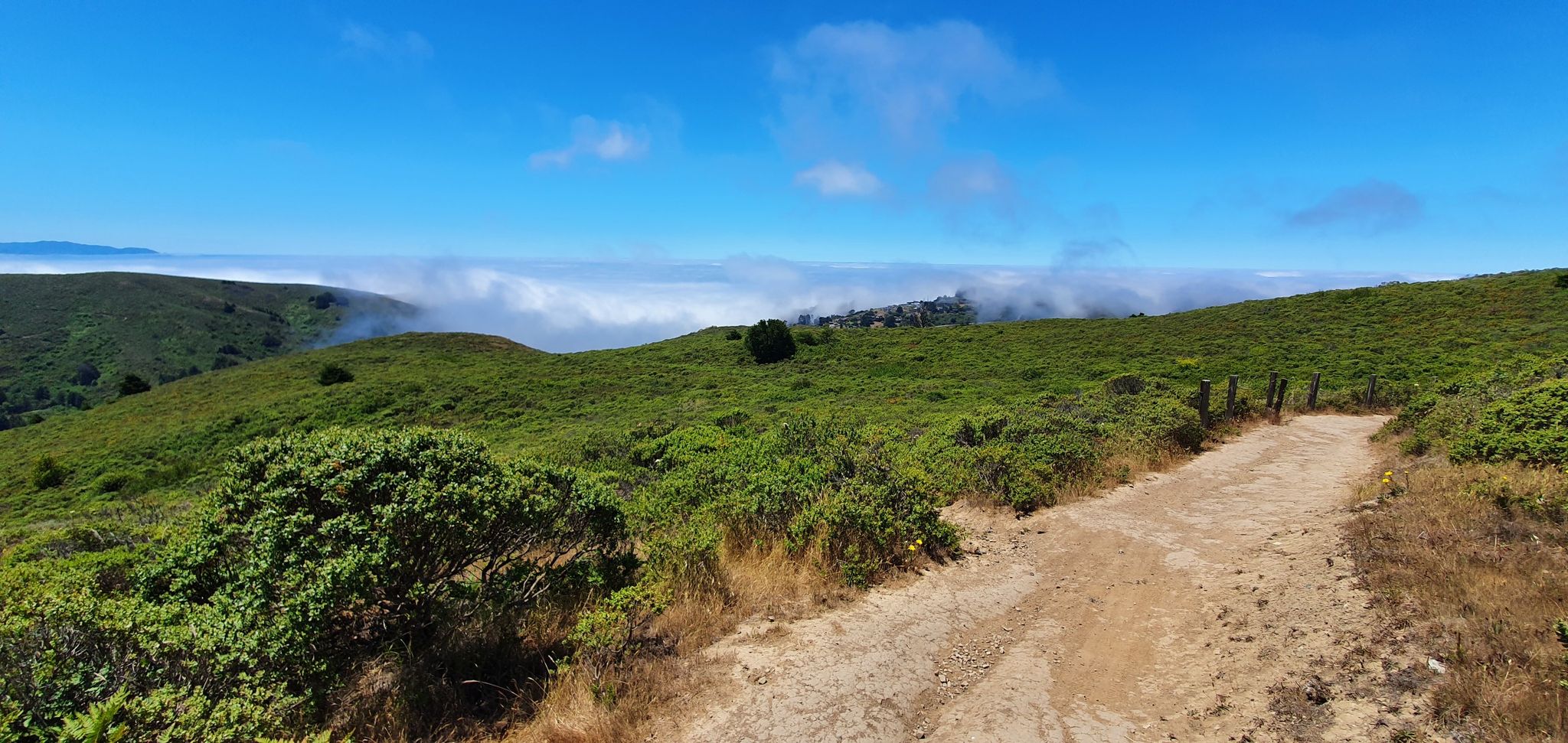 A dirt path winds through sunny green hills with distant clouds. - Old Mine Trail (lower) 🌲 – Coast View Trail loop from Muir Woods National Monument