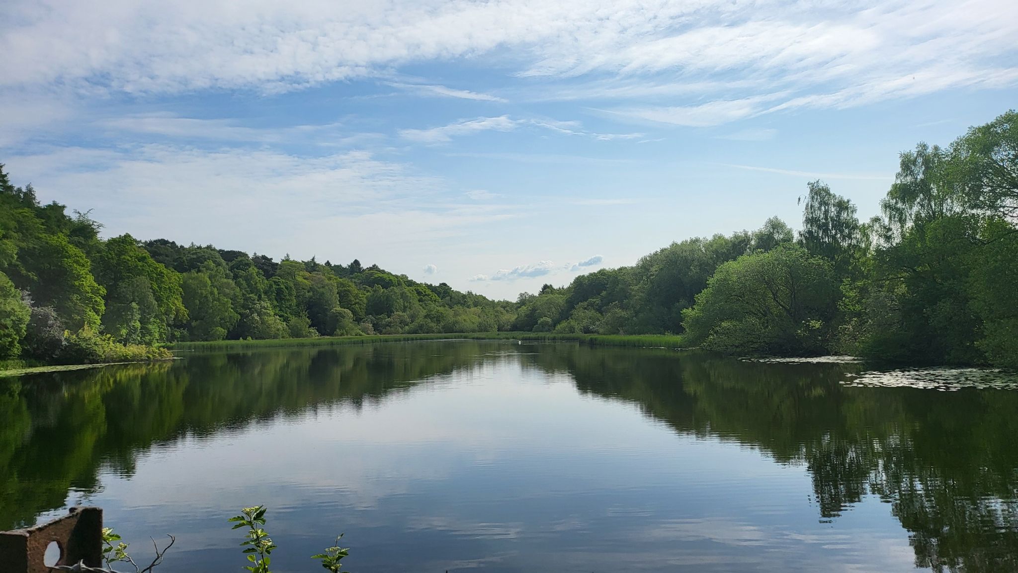 Hurcott Pool