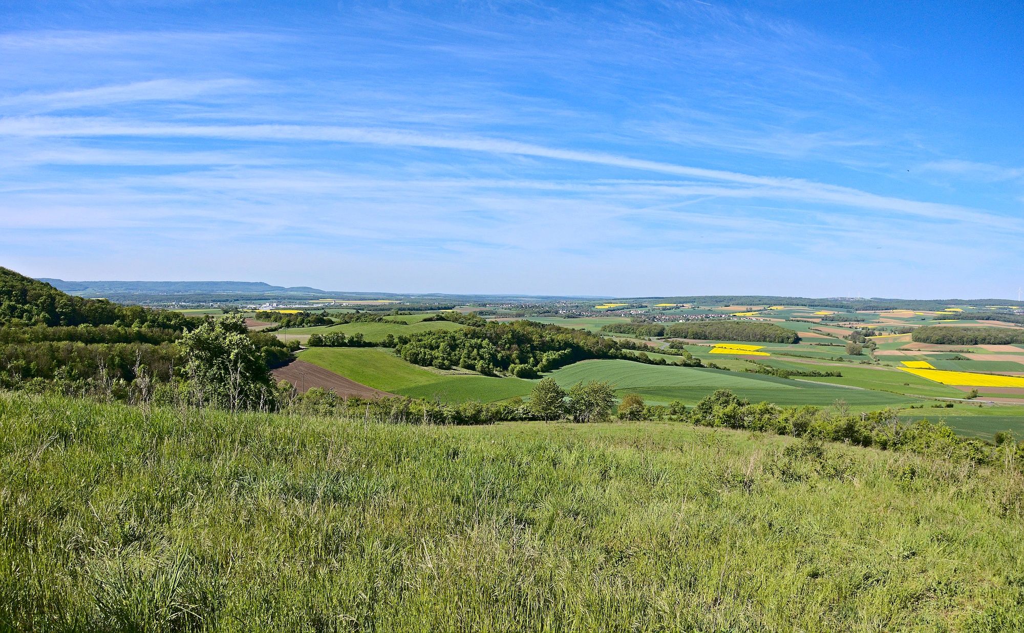 Blick zurück zum Maintal und dem Steigerwald