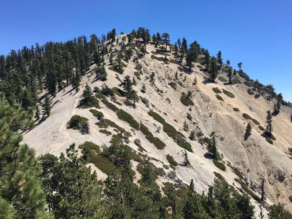 A steep, rocky mountain slope covered with scattered pine trees. - Mount Williamson, Goodykinz Peak, and Pallet Mountain loop