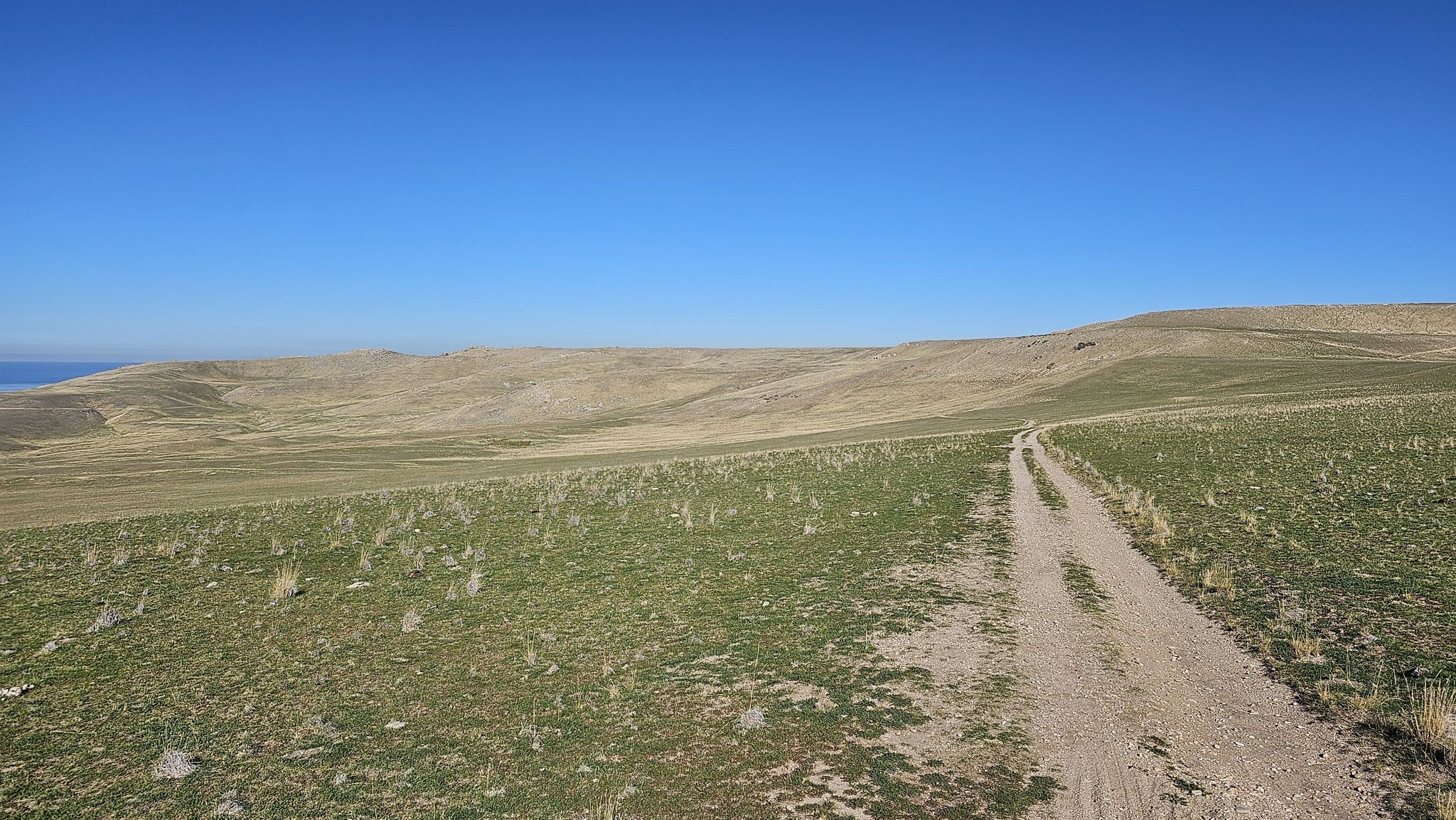 A dirt road traversing a wide, dry, grassy landscape with distant water. - Elephant Head – White Rock Loop loop from Buffalo Point