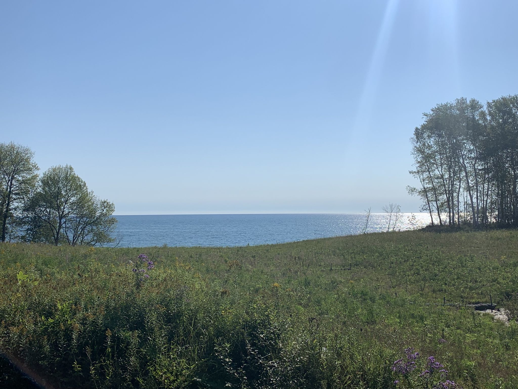 Bright sunny day over a large blue lake, green field, and distant trees. - Sheboygan century loop