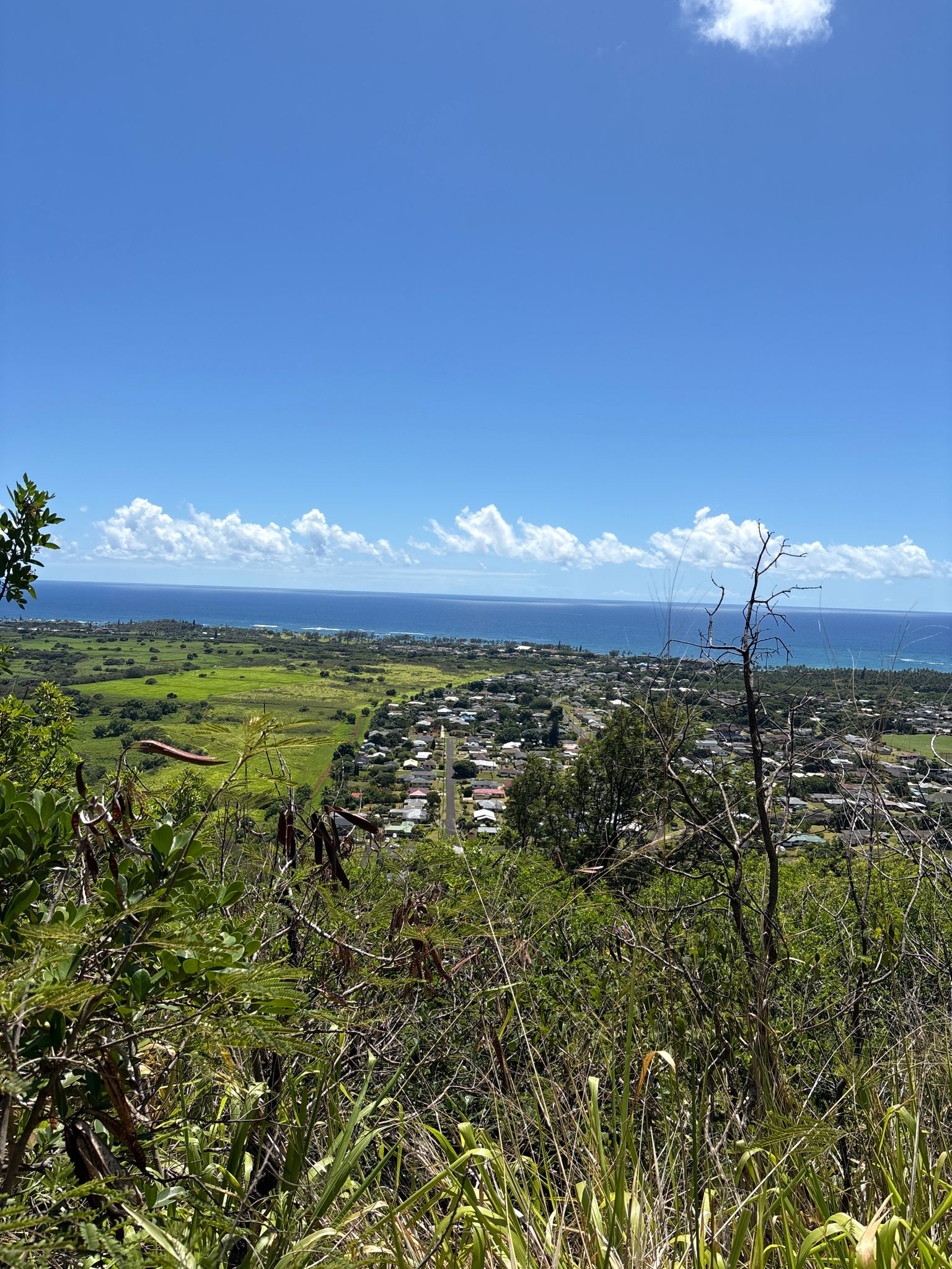 Panoramic view of a coastal town, green fields, and blue ocean under clear sky. - Nounou East Trail viewpoint via Papaloa Road loop