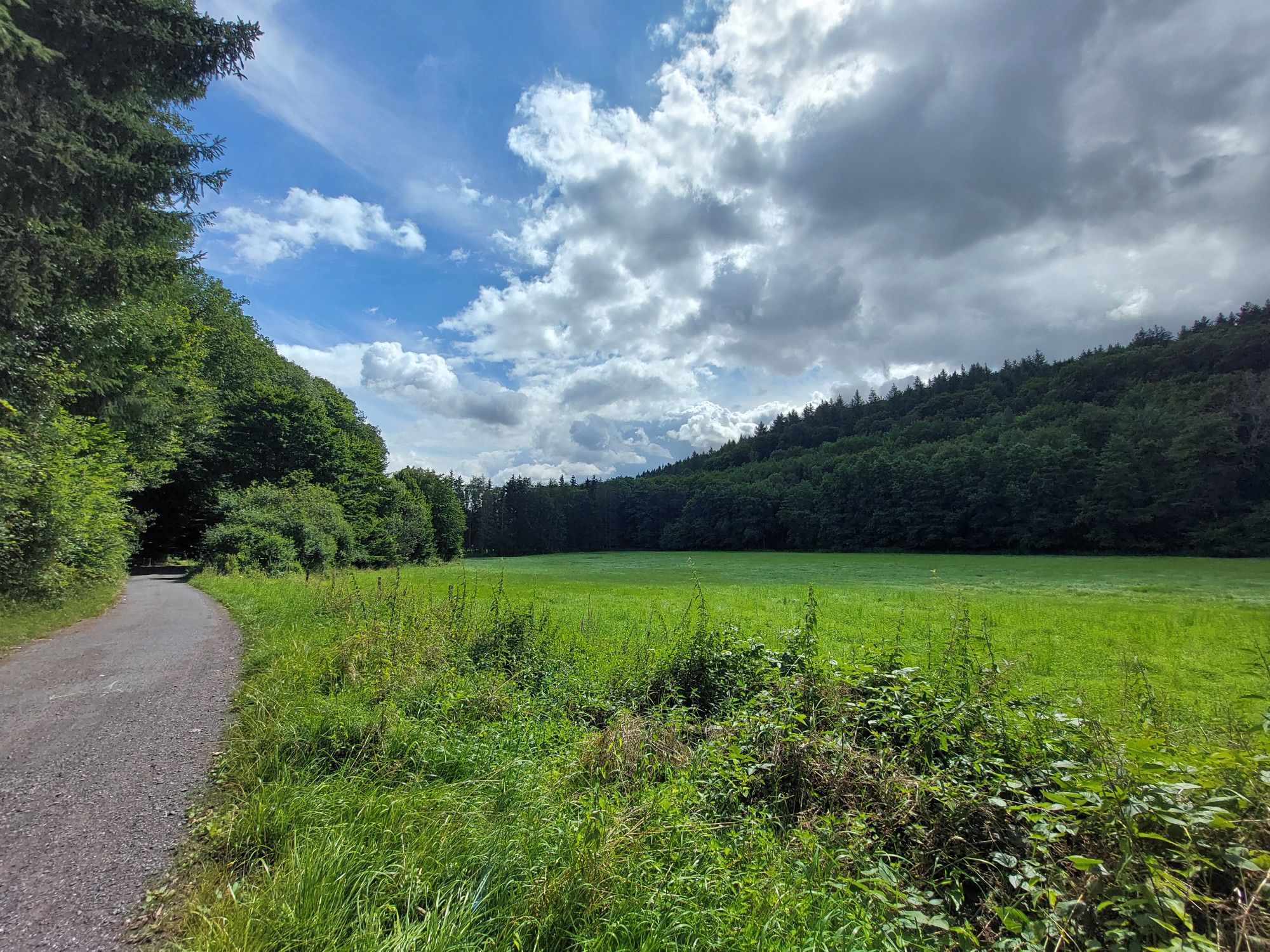 Im Erbbachtal