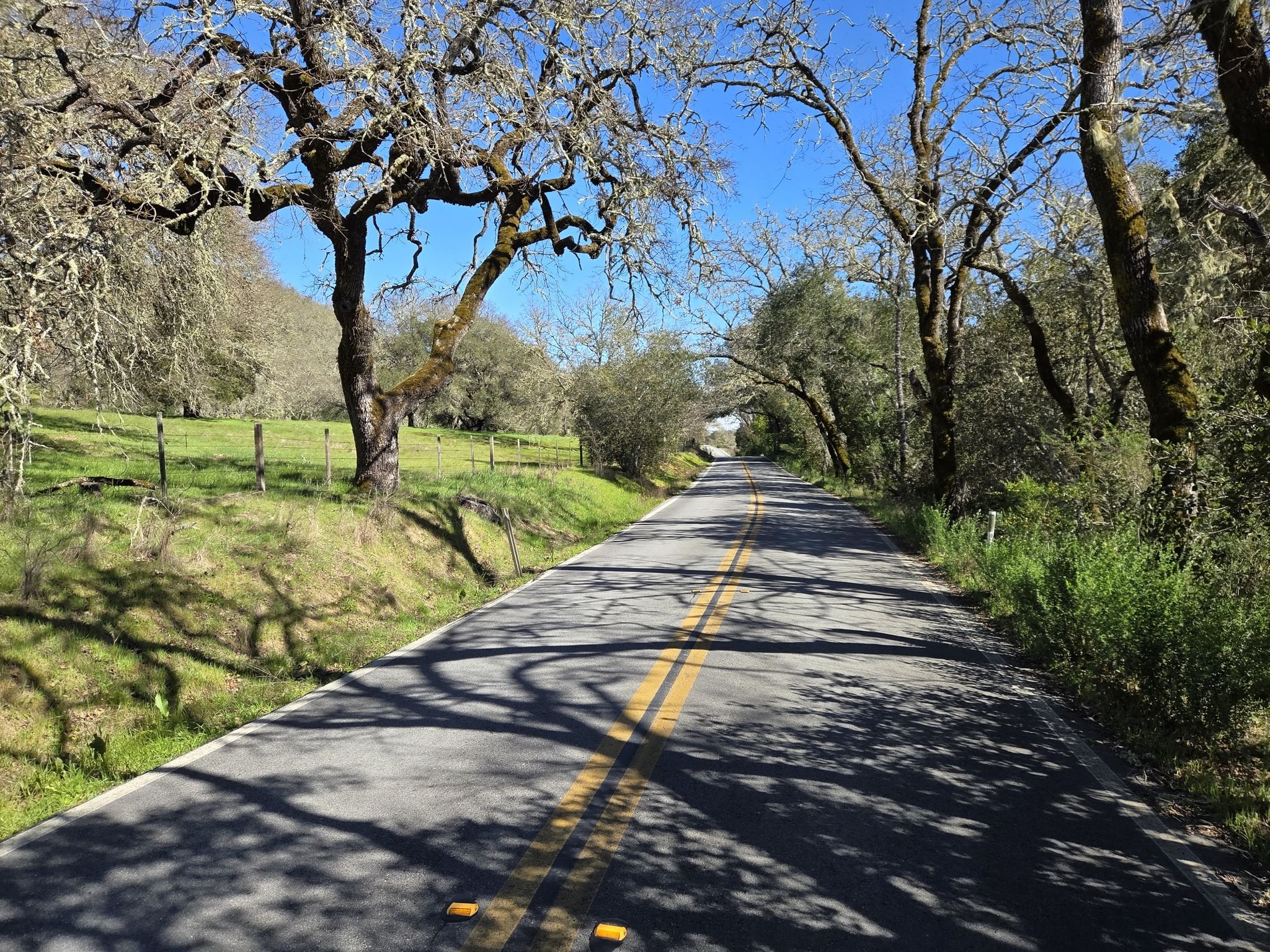 Paved road with bare trees and shadows on a sunny day. - Redwood Retreat Road – Uvas Creek loop from Gilroy