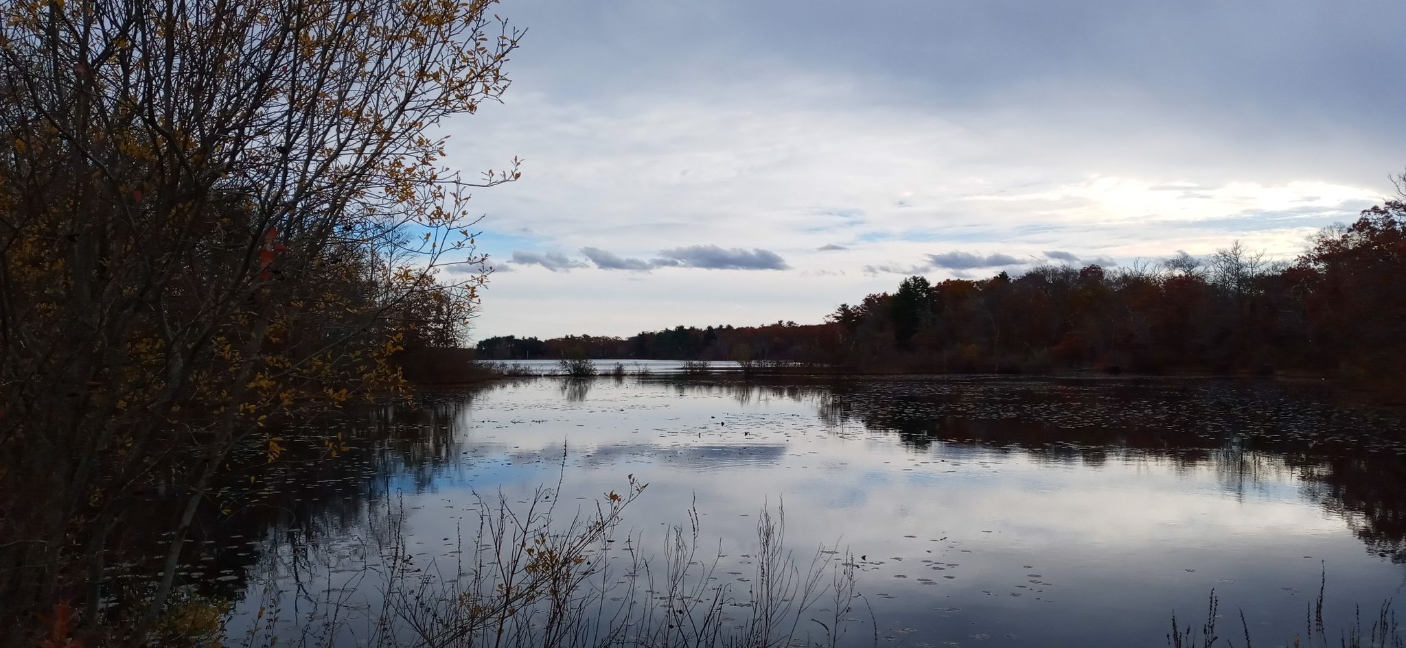 Calm lake reflecting an overcast sky, surrounded by autumn trees. - Reina – Lake at D. W. Field Park loop from Fieldstone Preserve
