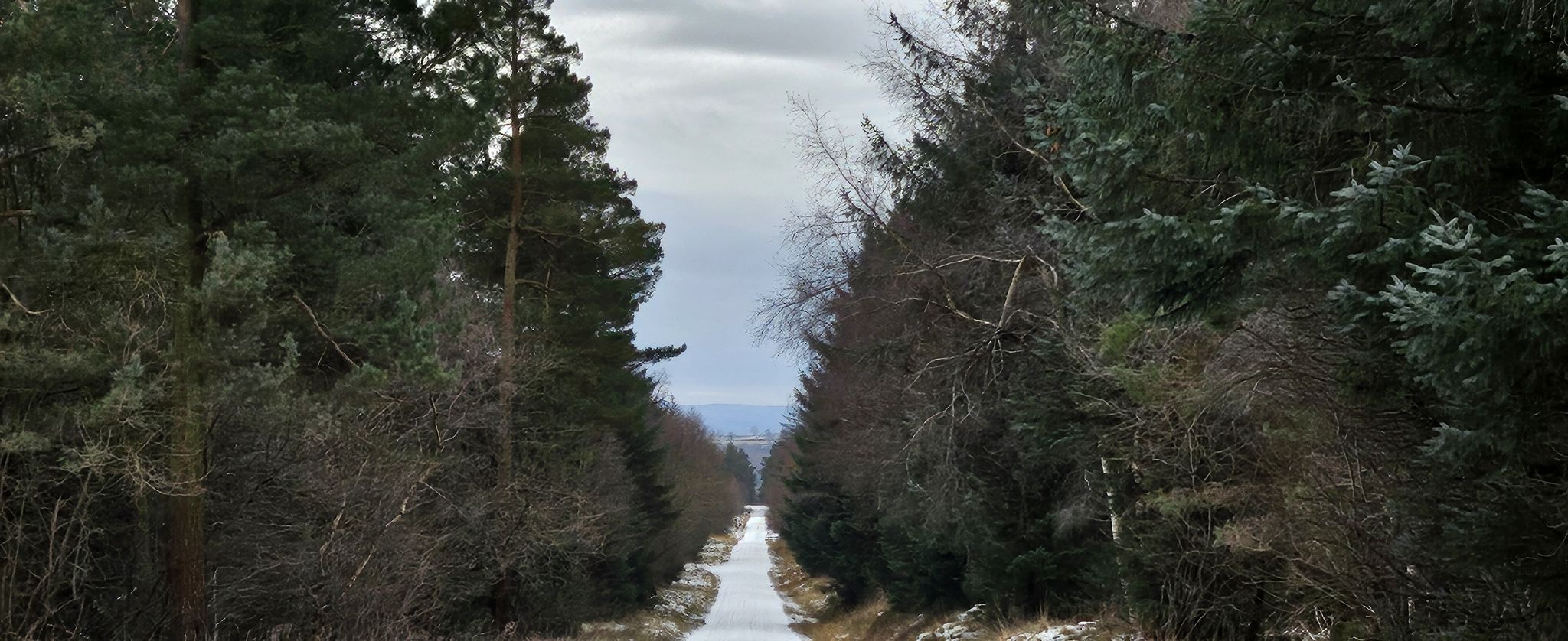 Long view behind to the southwest