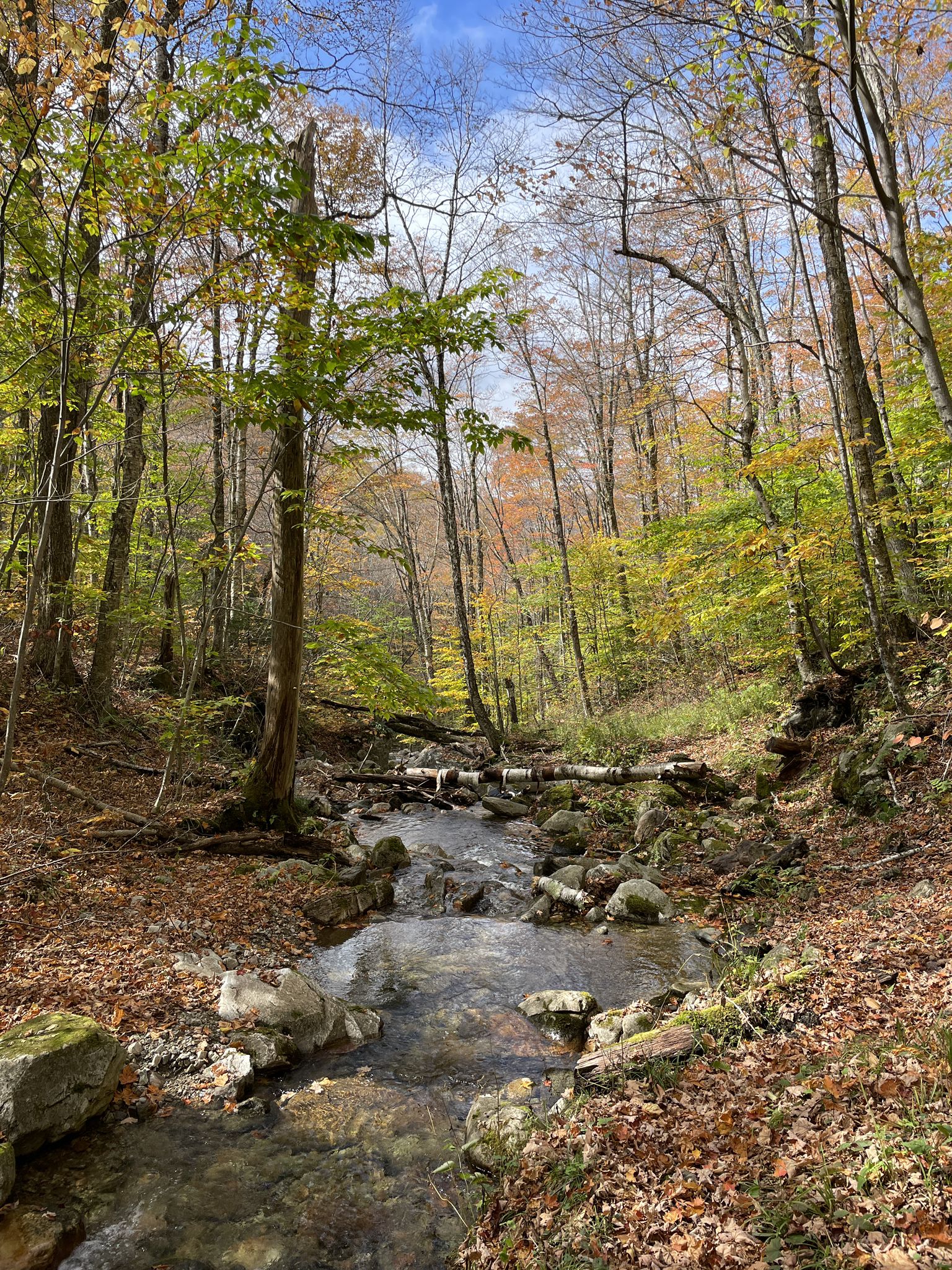 Rocky stream flowing through a vibrant autumn forest under a blue sky. - Baker Peak and Griffith Lake Loop