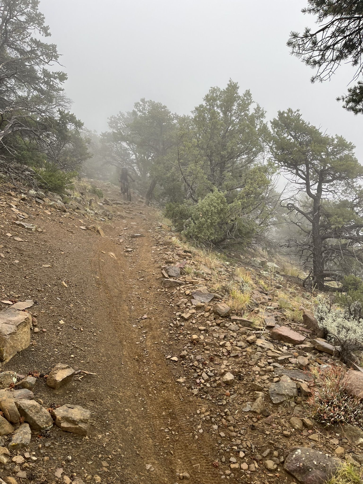 A rocky dirt trail ascends into a dense fog with a distant hiker. - South Boundary Trail to First Peak