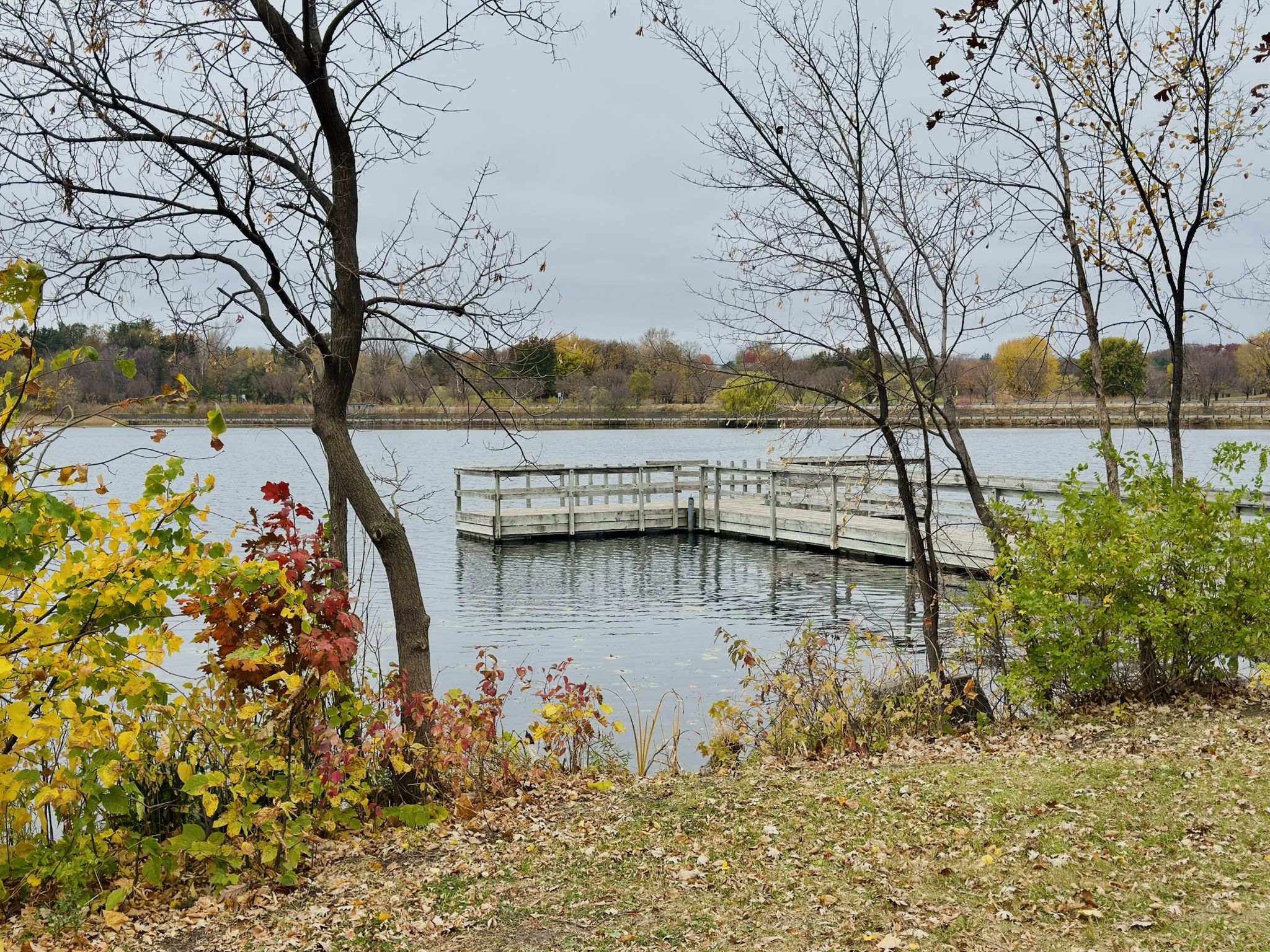 Wooden dock extends into a calm lake, surrounded by autumn trees under a cloudy sky. - Bassett Creek Lagoons – Wirth Beach House loop from Willard-Hay