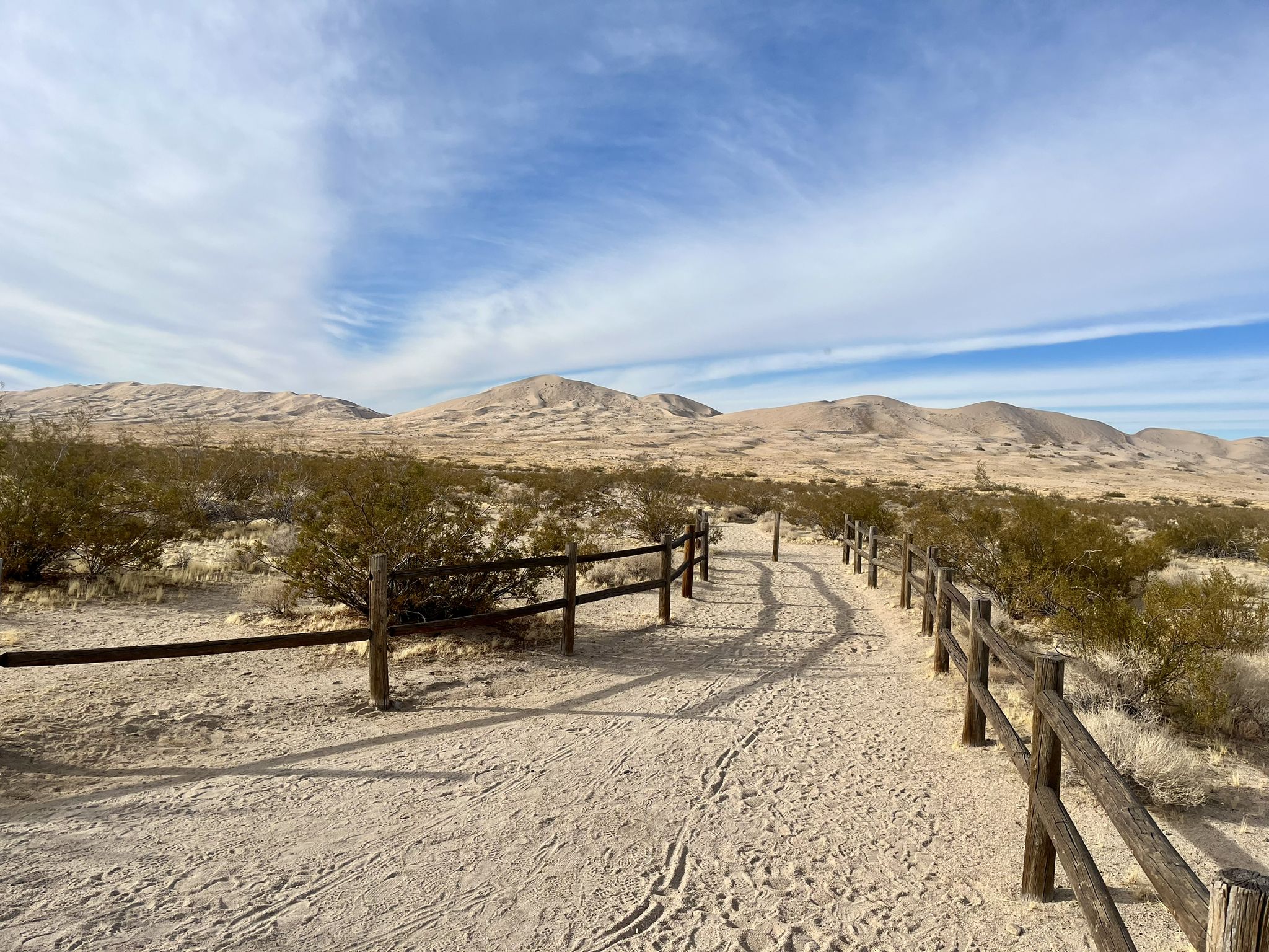 Sandy path with wooden fences leading towards distant desert dunes under a blue sky. - Kelso Dunes Trail