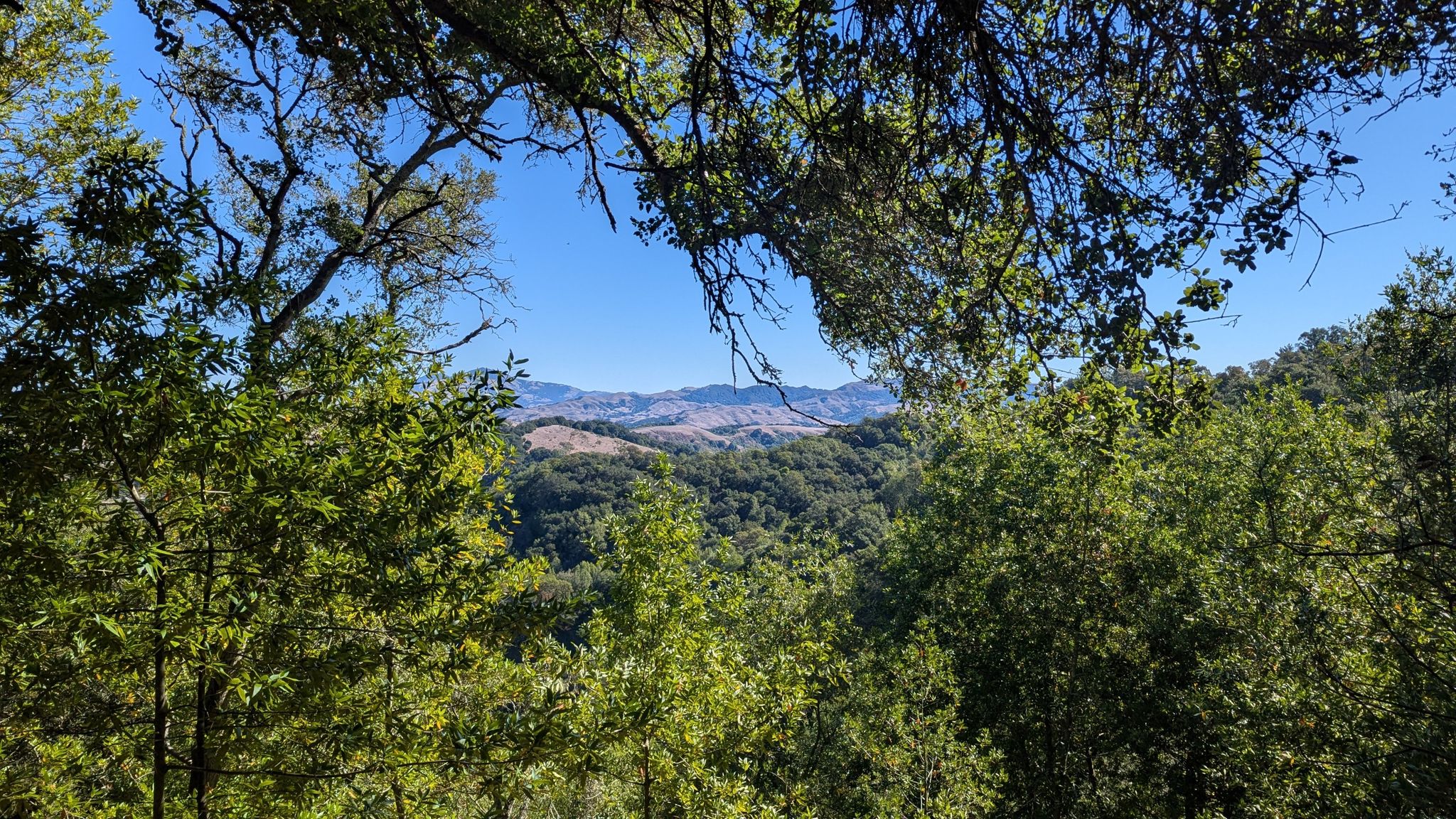 A sunny view of green forested hills and distant mountains under a blue sky. - Upper Pinehurst Vista Point – Skyline Gate Staging Area loop from Canyon