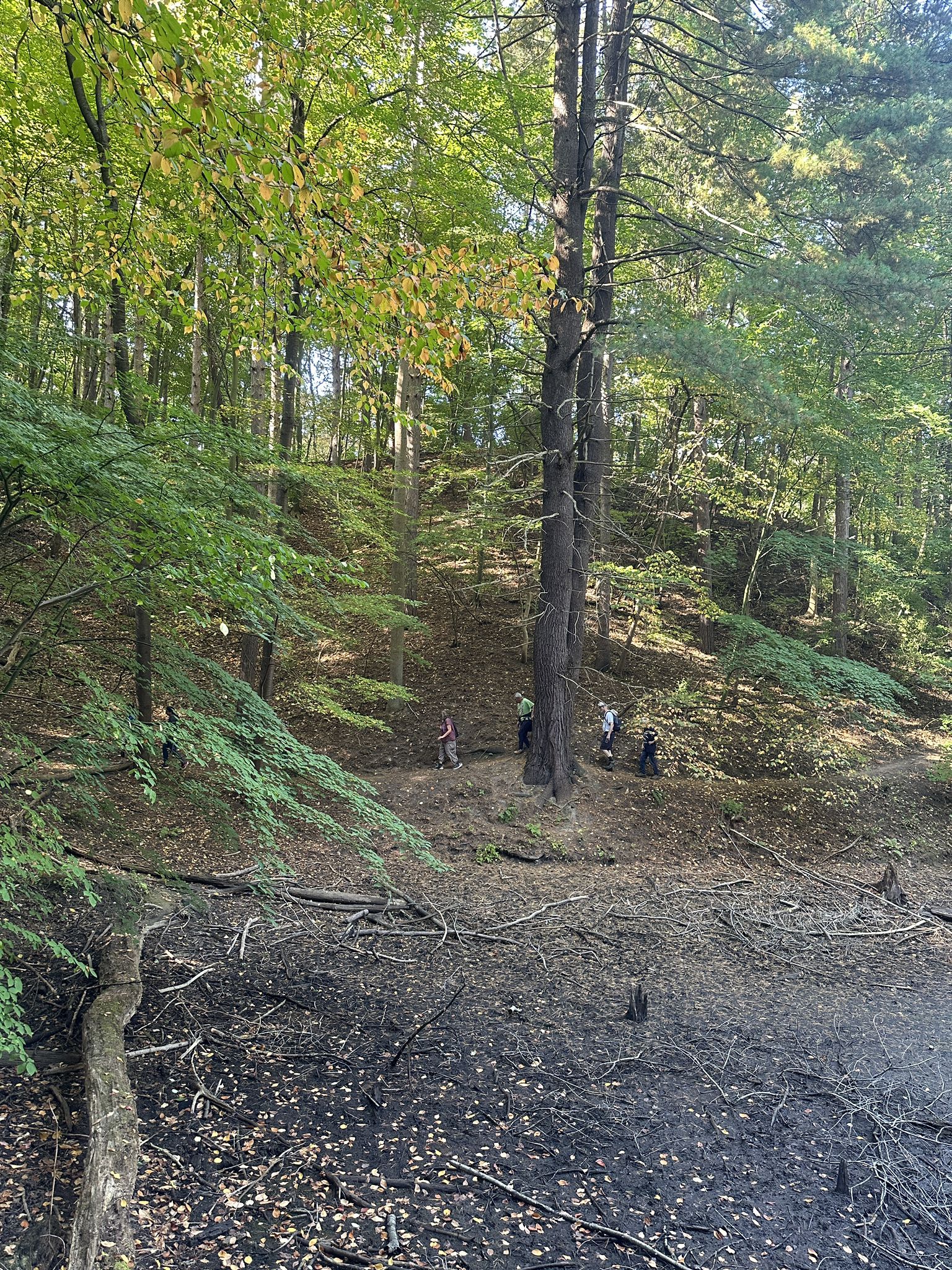 Several people stand on a steep, dry forest floor under dappled sunlight. - Lake Ontario sand beach – Pond in Durand Eastman Park loop from Irondequoit Bay State Marine Park