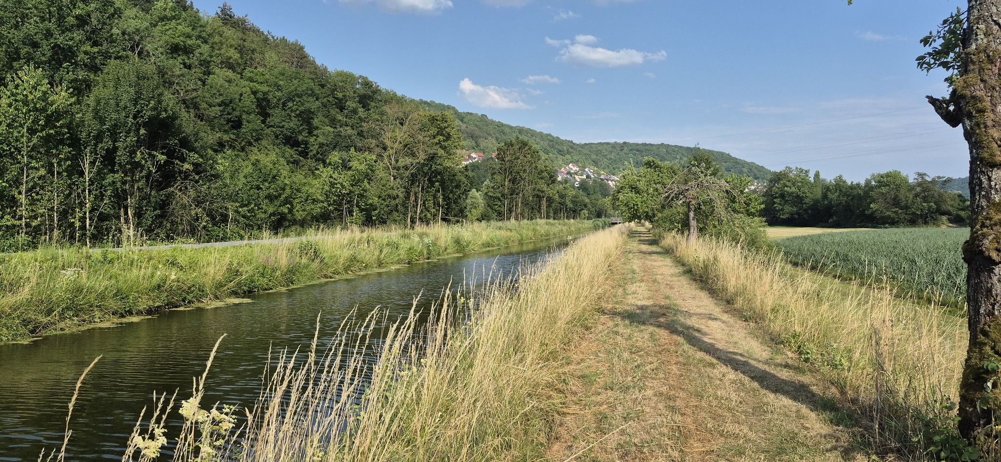 EVS Kanal 