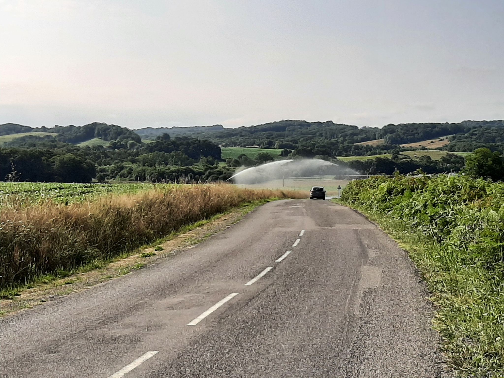 La campagne Béarnaise