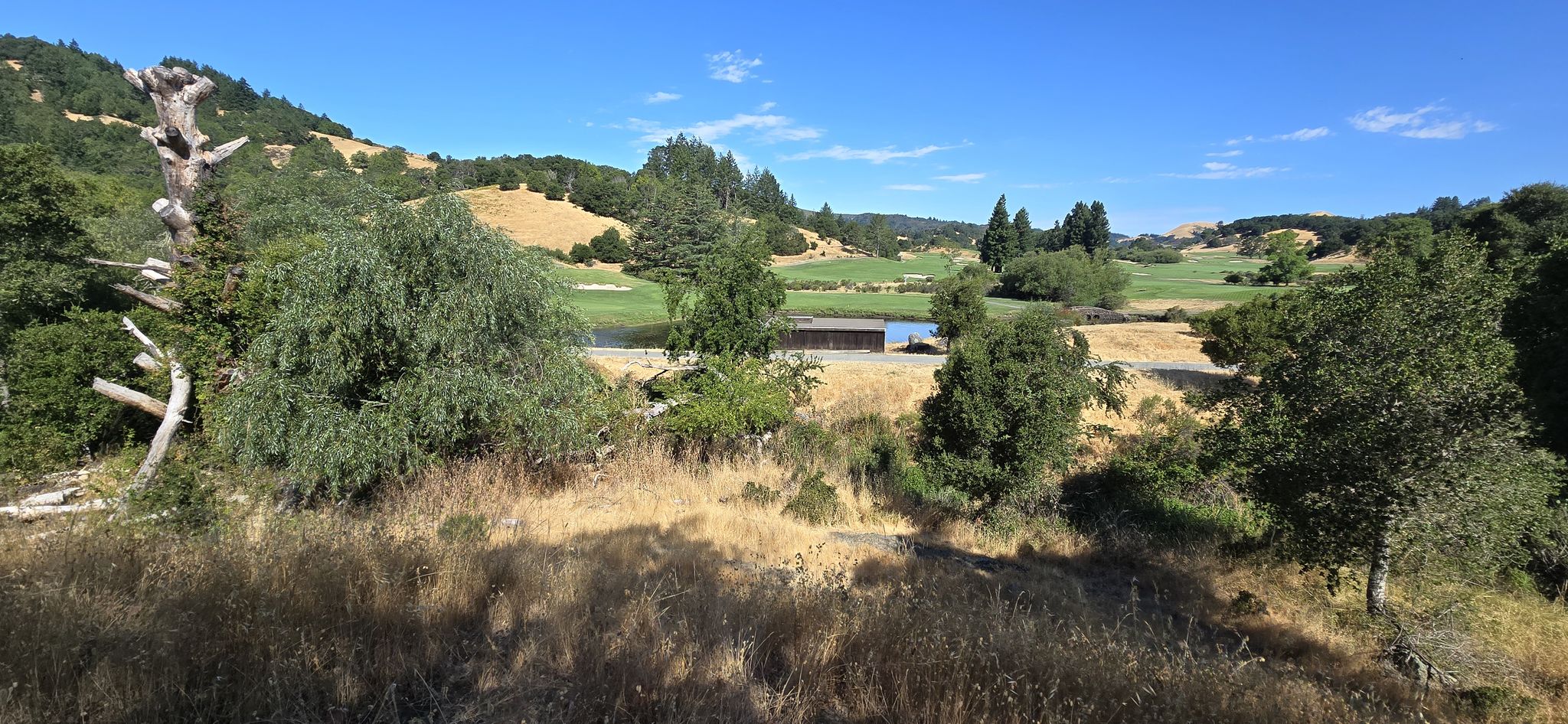 Sunny view of a golf course with green fairways, trees, and a pond. - Azalea Hill Trail to Alex Forman Trail loop