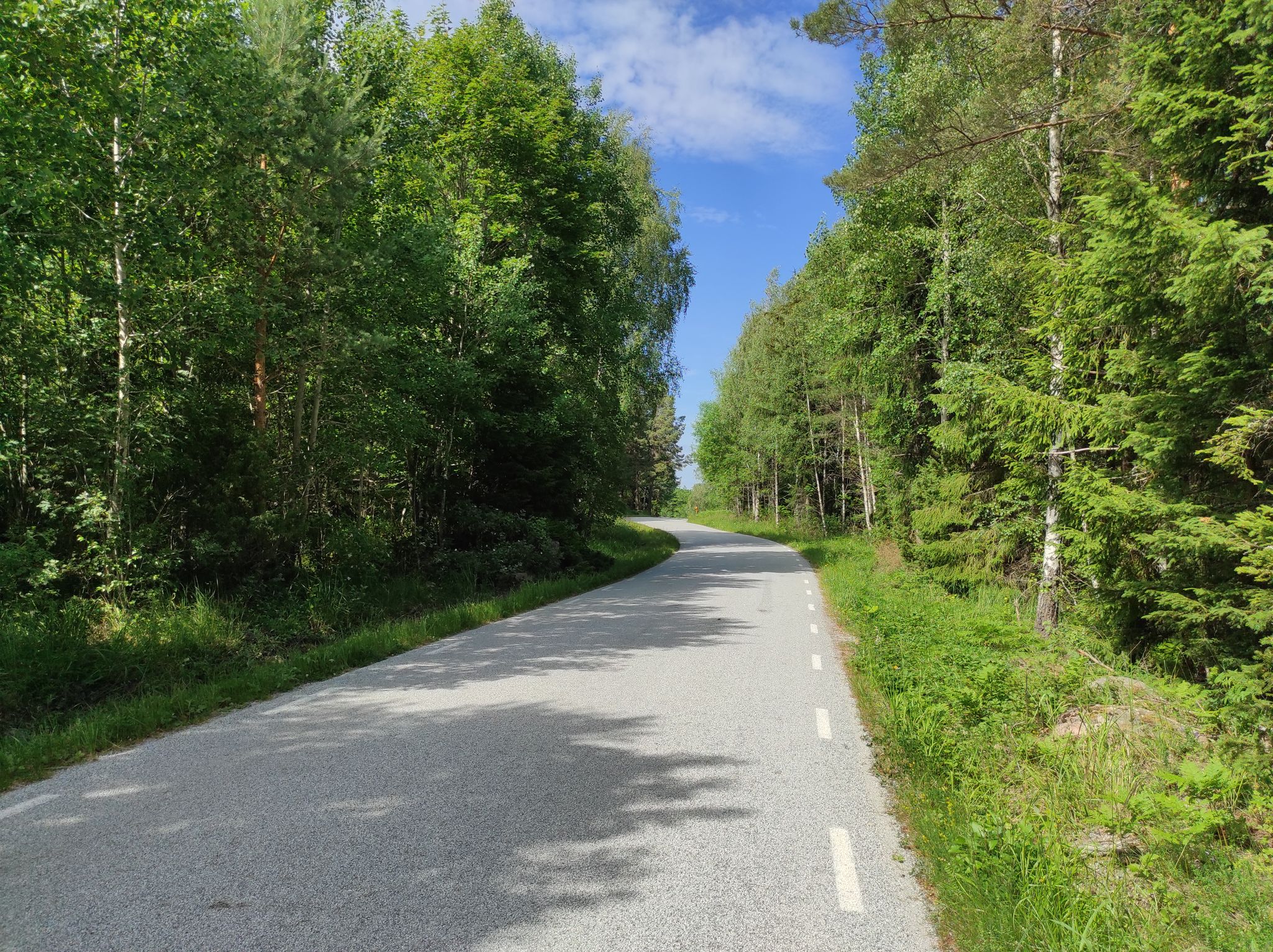 Starting to look for a camp site after passing Hallstavik.