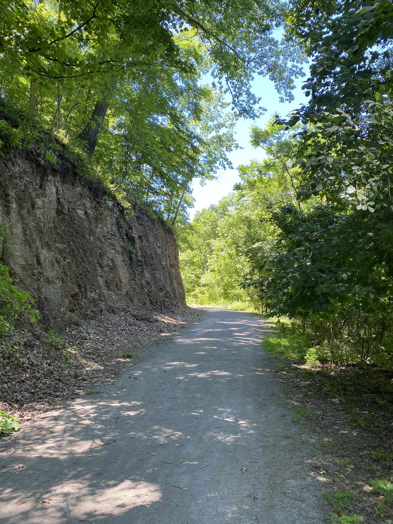 A sunny dirt path winding between a rocky bank and lush green trees. - Hiking loop from Homestead