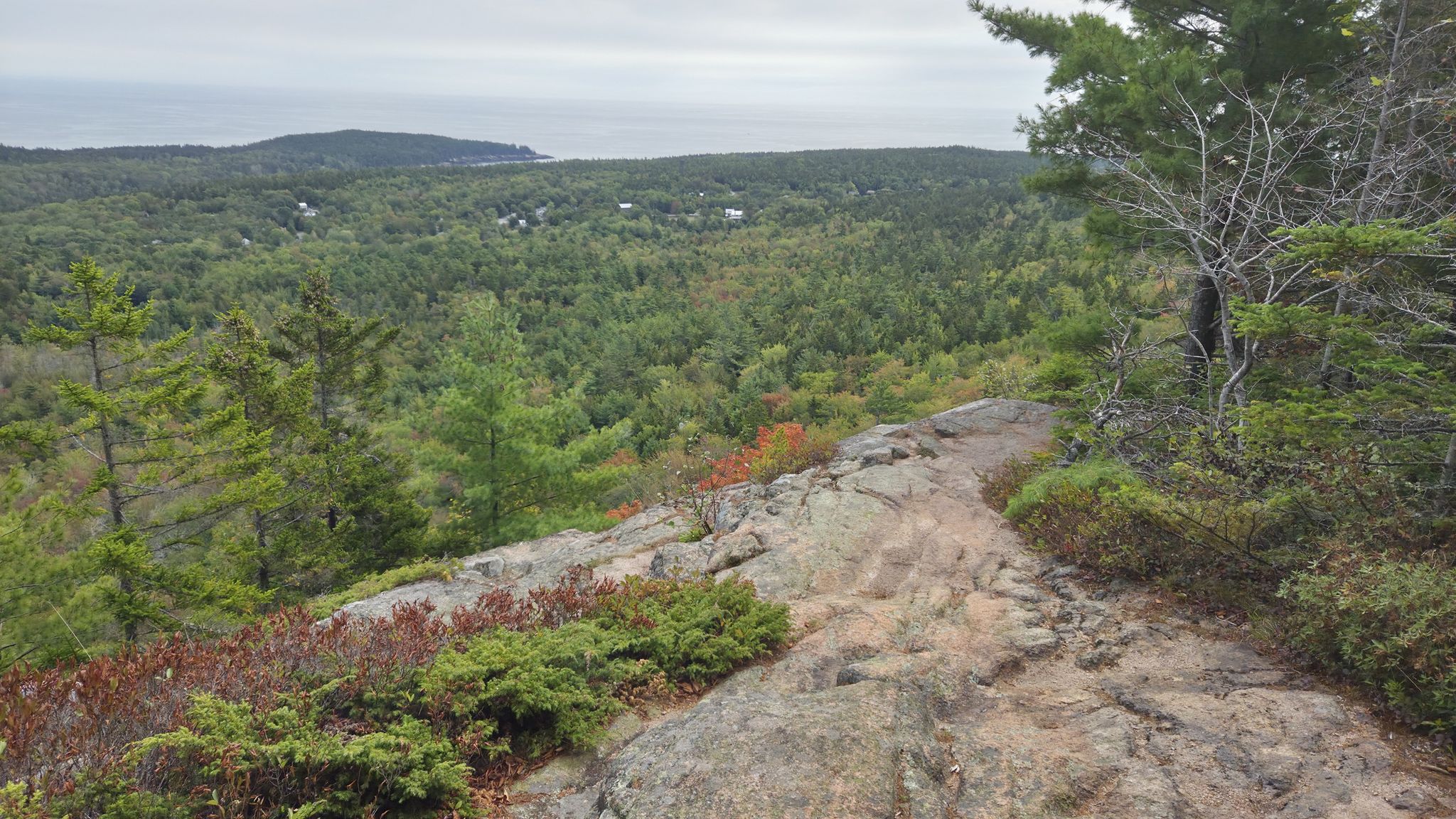 Rocky overlook above a dense green forest and distant water under an overcast sky. - Eagles Crag Trail