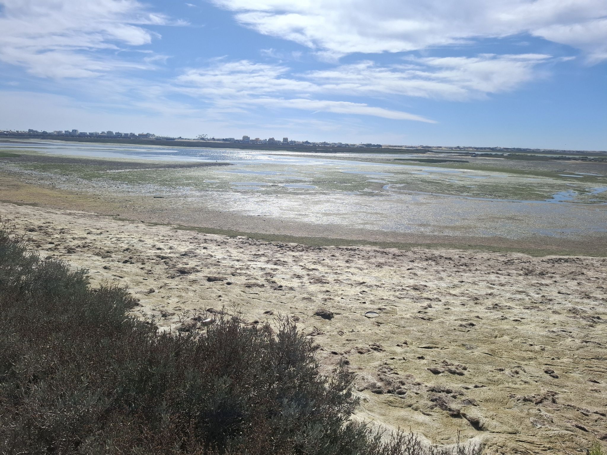Parque National Ria Formosa