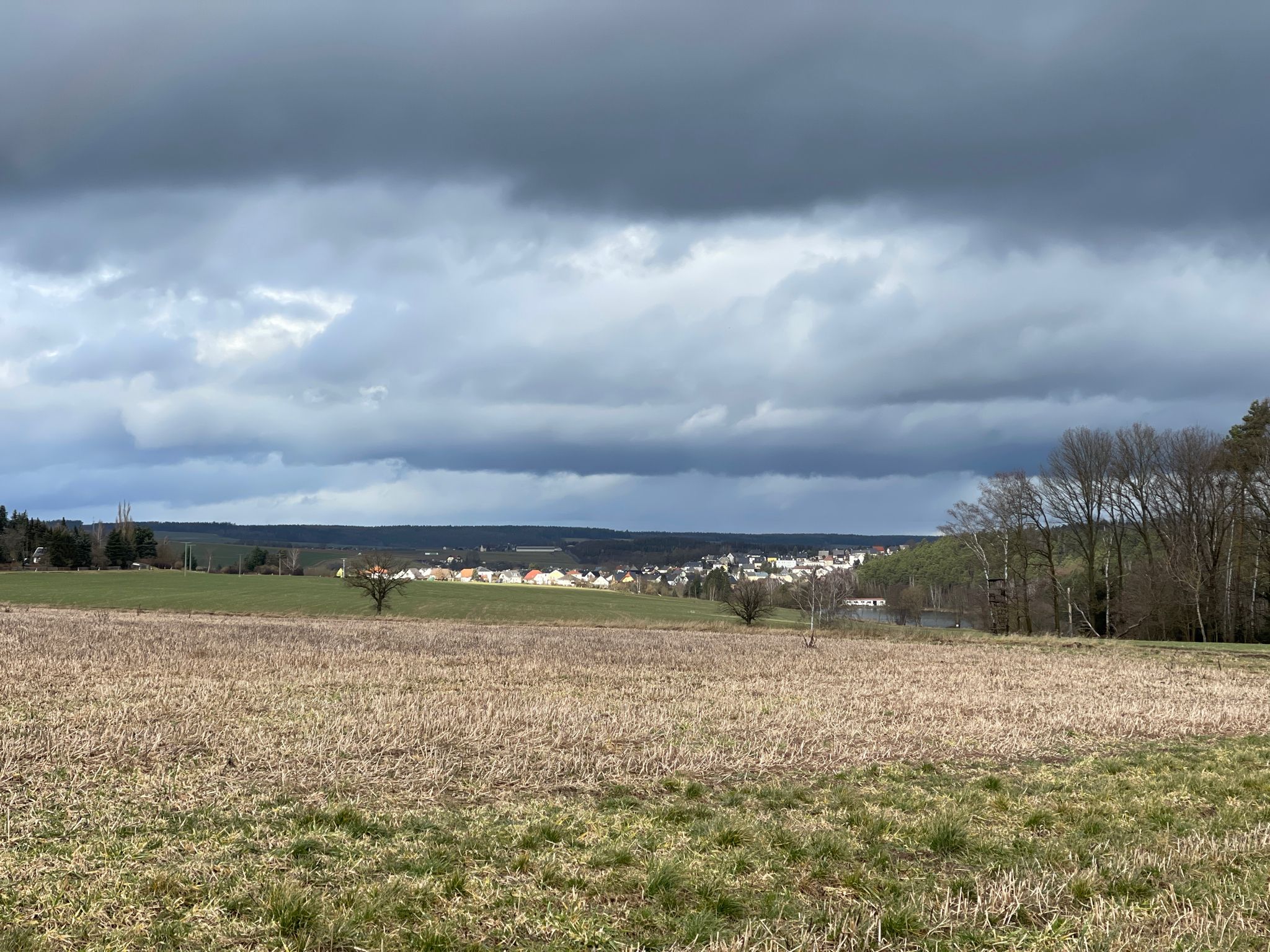 Blick auf Triebes