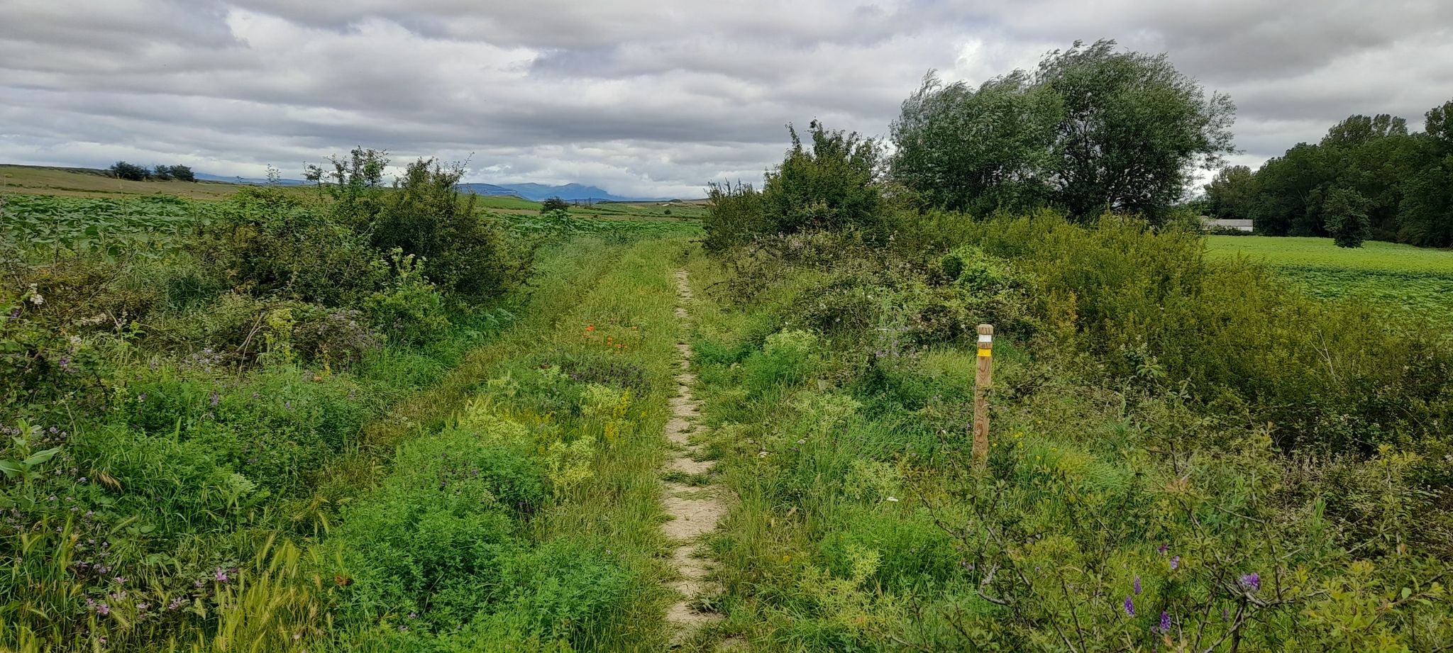 After NOT CROSSING the river as the x signs indicated, keep LEFT and follow these signs.