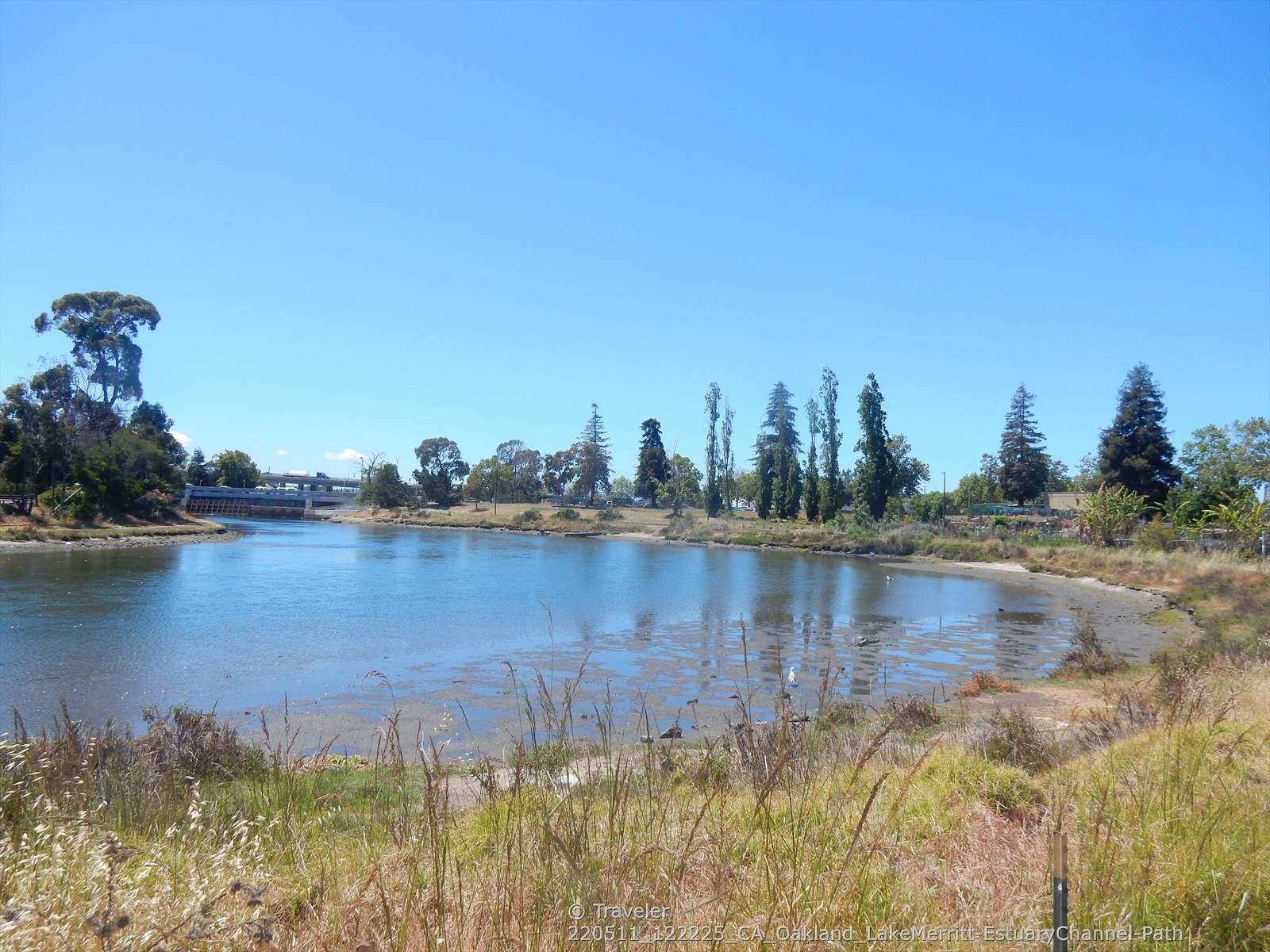 A wide view of calm water with trees and distant buildings under a clear blue sky. - Lakeshore Park and Lake Merritt Channel loop