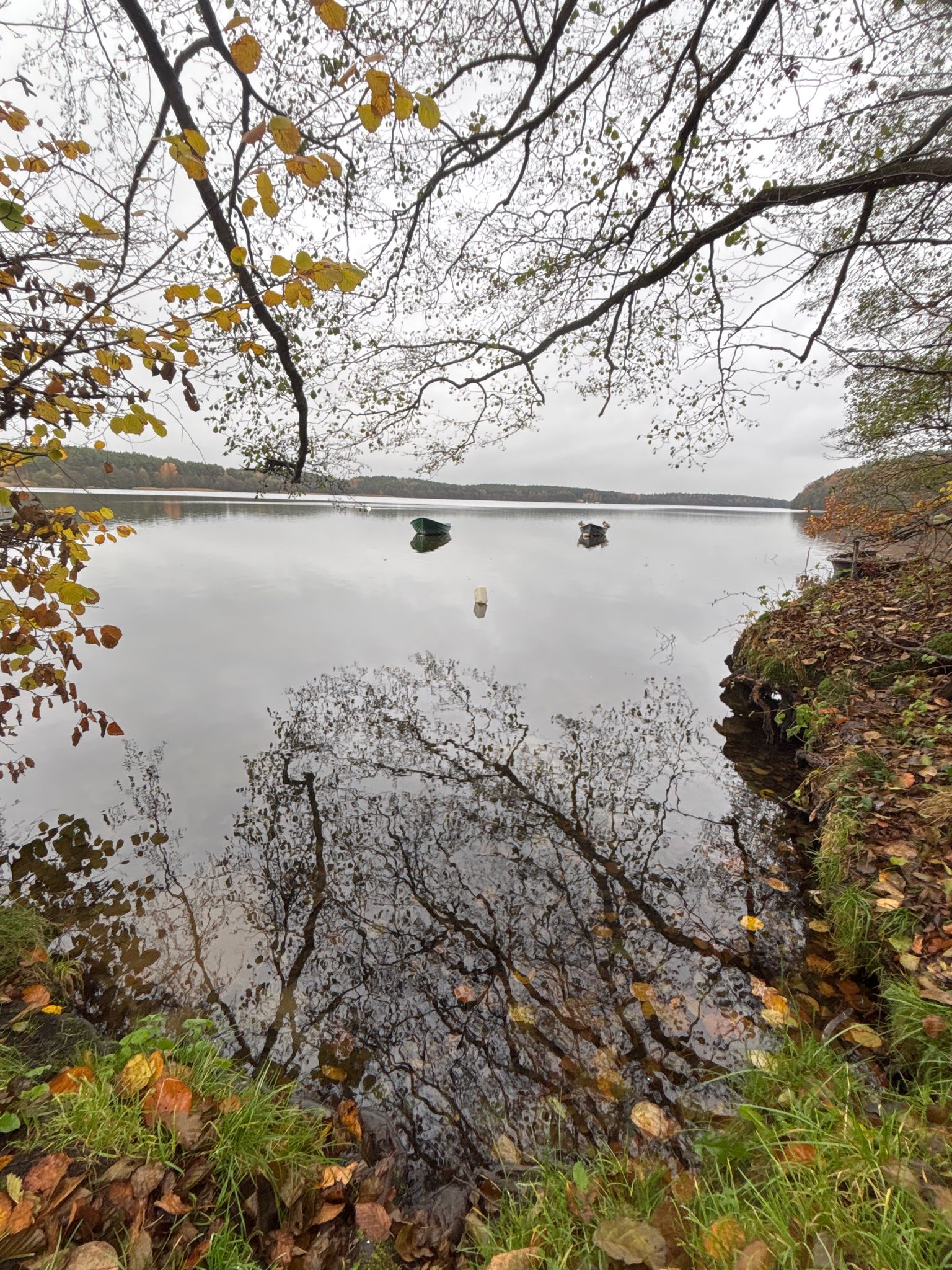 Jezioro Lubowidzkie