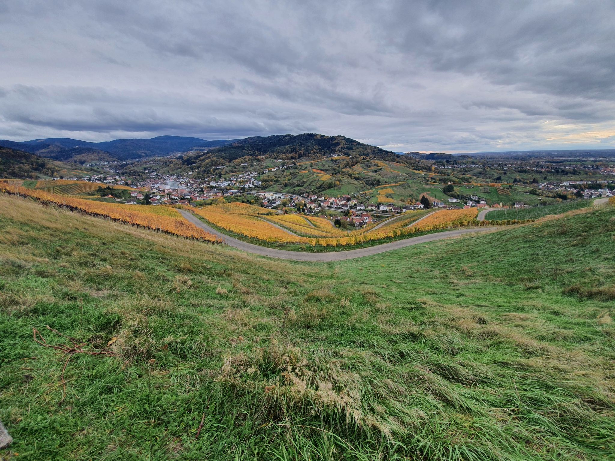 Bank mit Ausblick