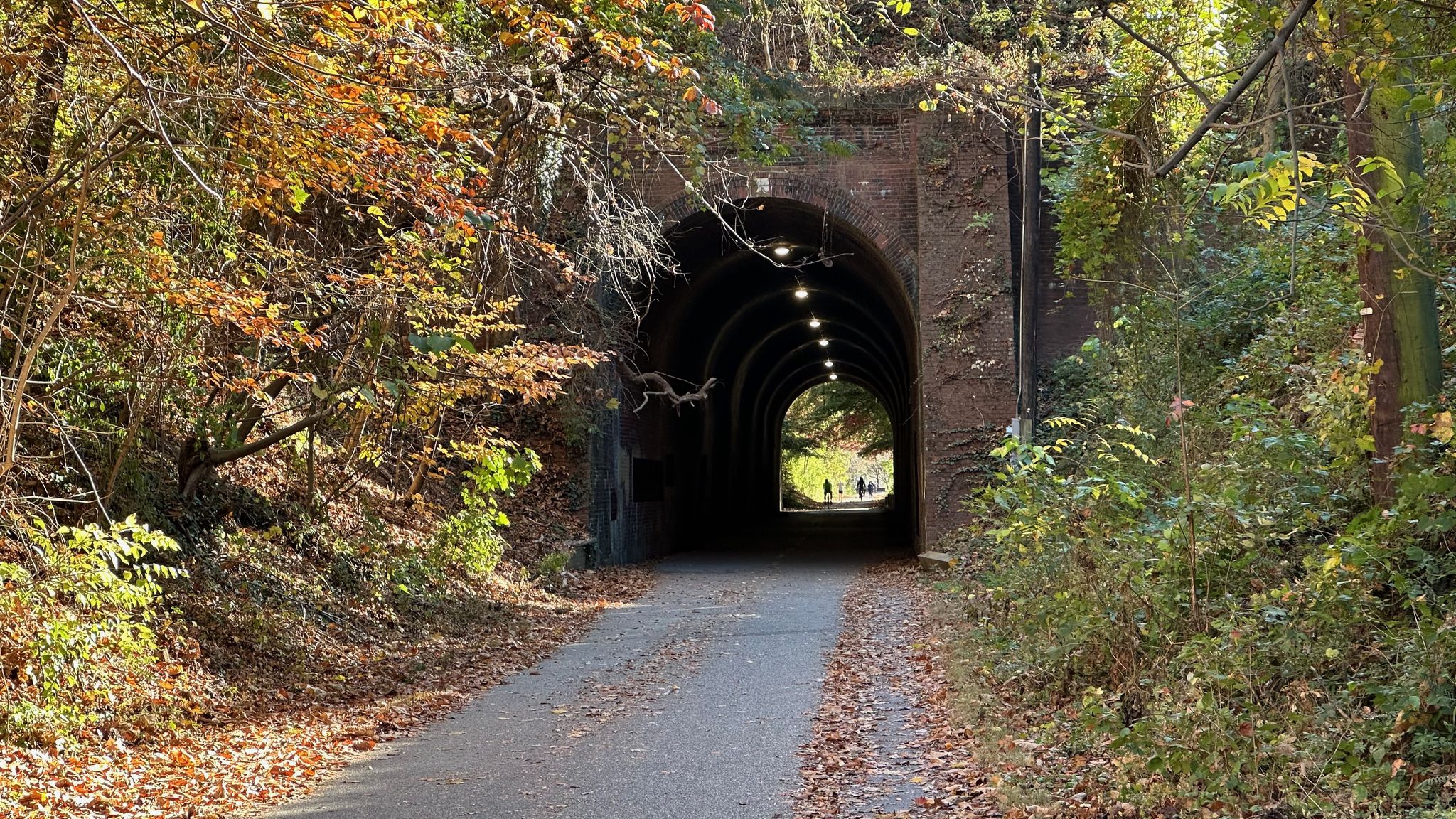 Paved path leading into a lighted tunnel with autumn leaves and people. - Dalecarlia Tunnel – Dalecarlia Tunnel loop from Bethesda