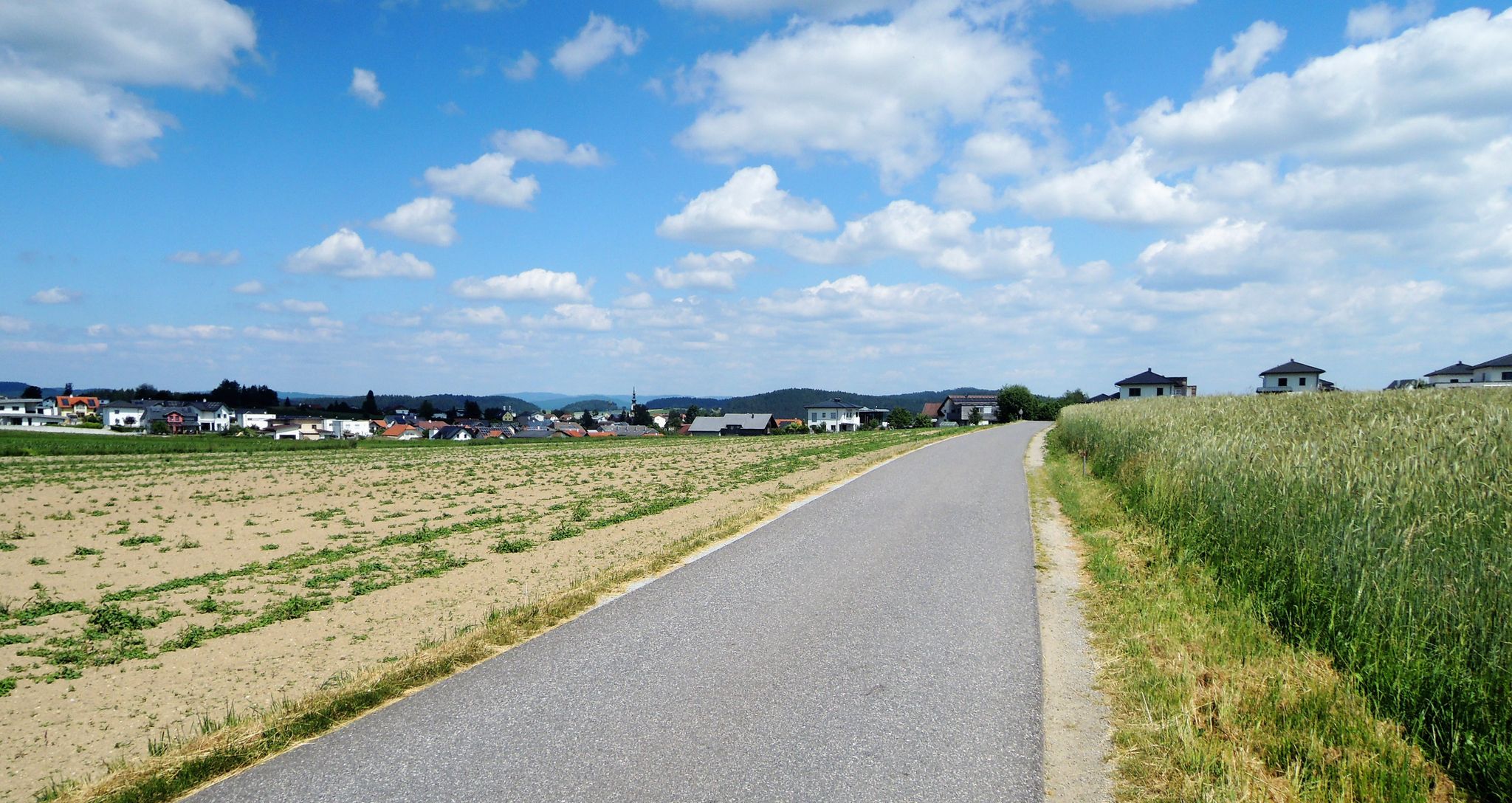 Reichenthal liegt vor mir