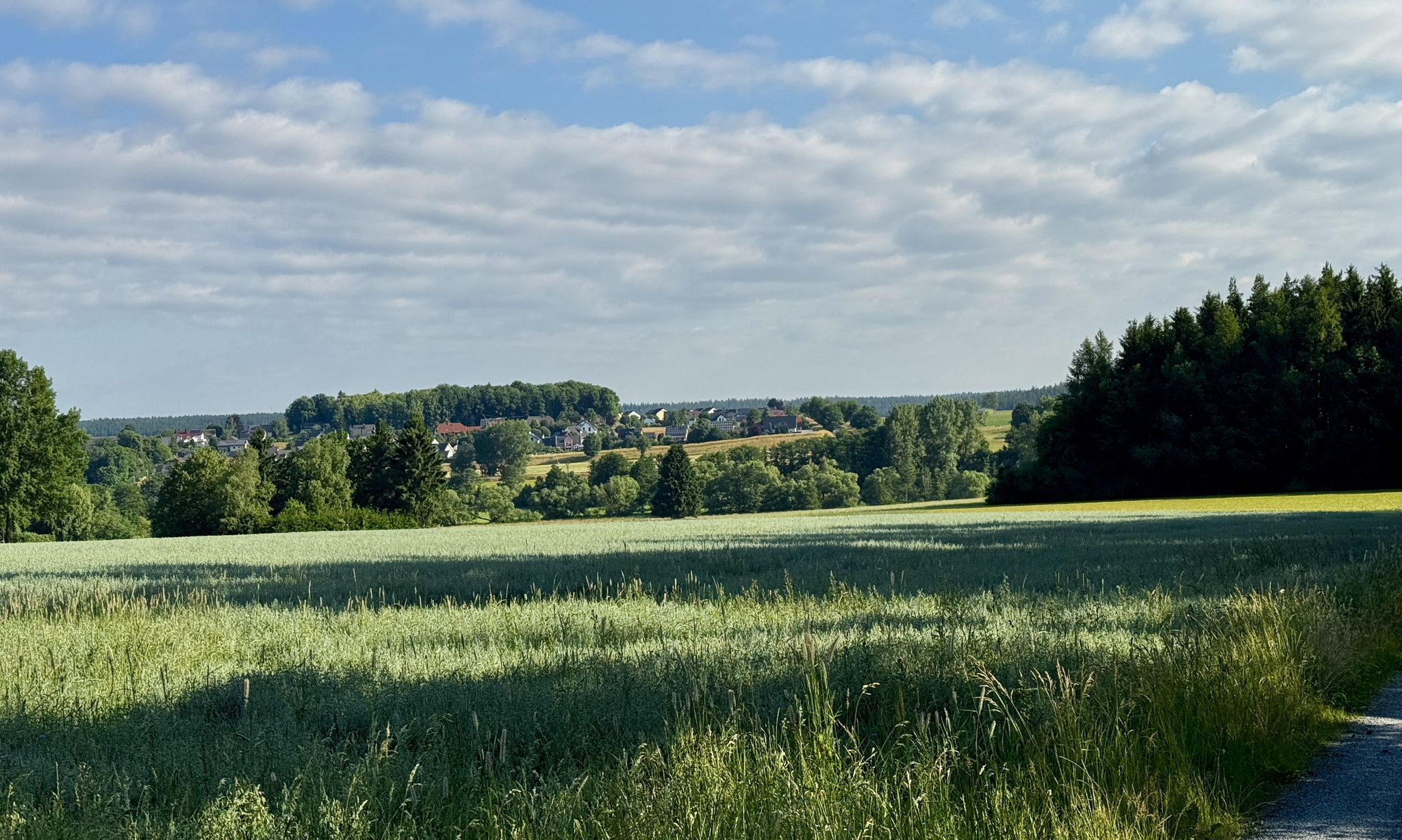 Blick zurück nach Rehau