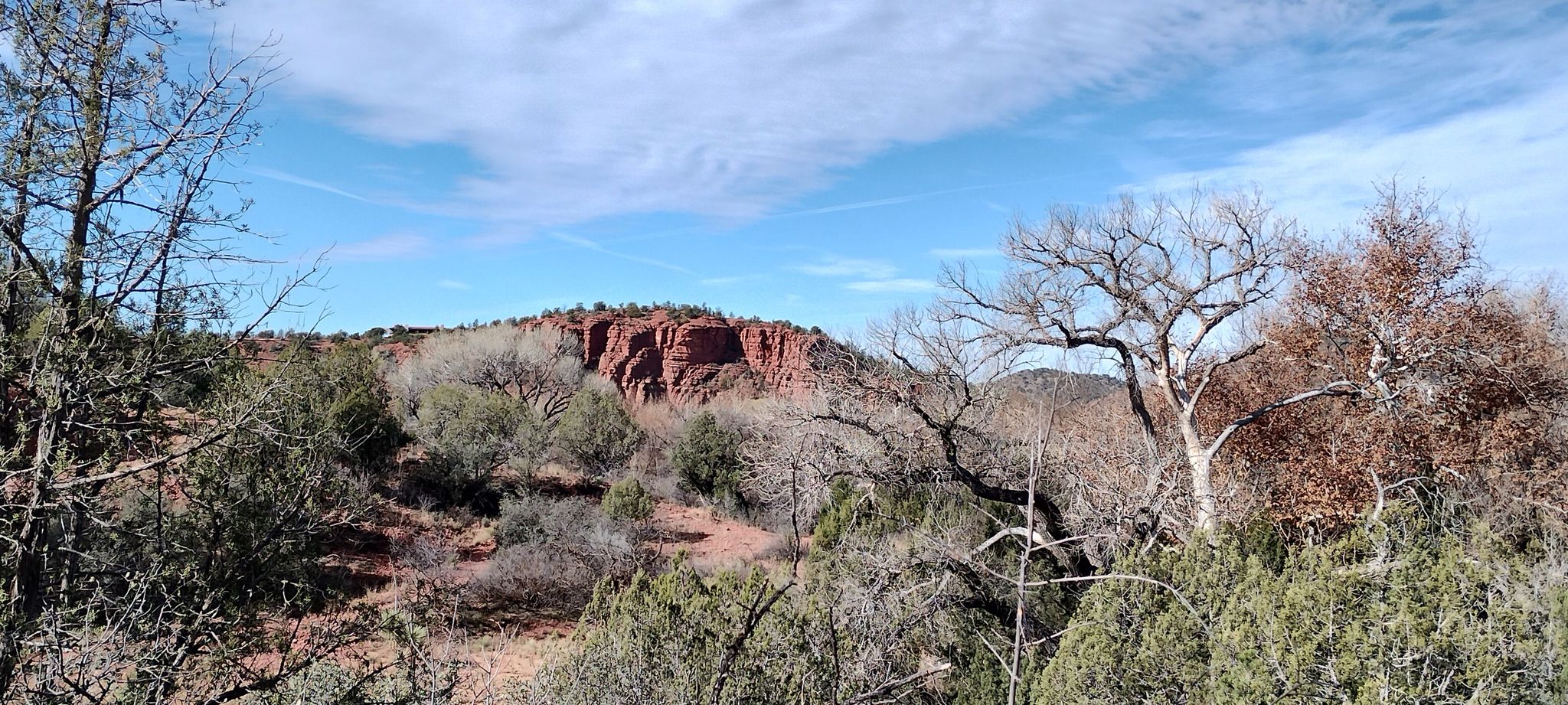 Red rock cliff dominates a sunny, arid landscape with sparse trees. - Eagle's Nest Overlook – Cathedral Rock View loop from Red Rock