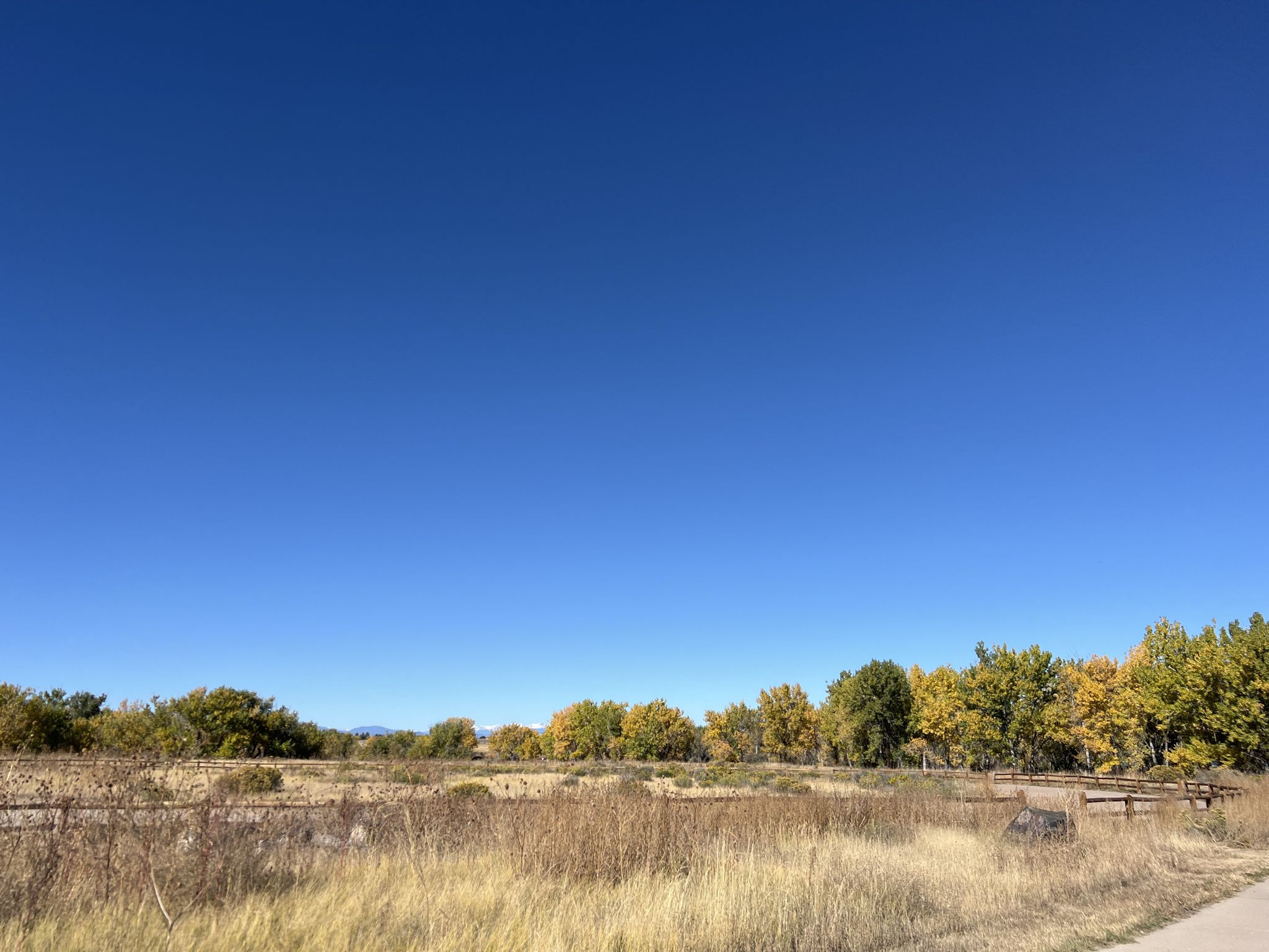 Expansive blue sky over a field with autumn-colored trees in bright sunlight. - View of Cherry Creek Reservoir – Cherry Creek Spur Trail loop from Cherry Creek High School