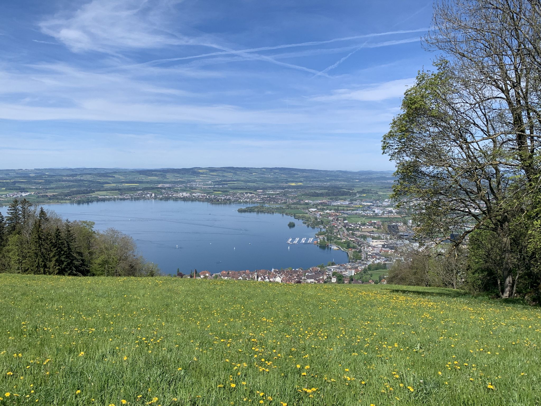 Zugersee