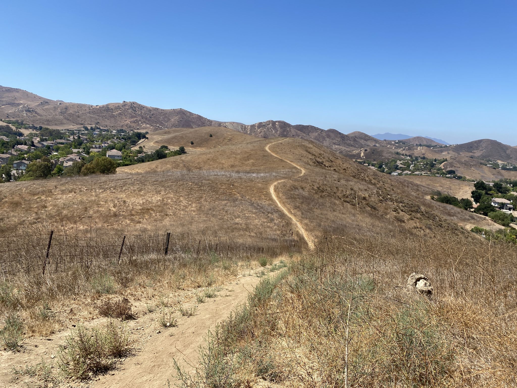 A winding dirt trail ascends dry, golden hills under a clear blue sky. - Canyon View and Wood Ranch Loop