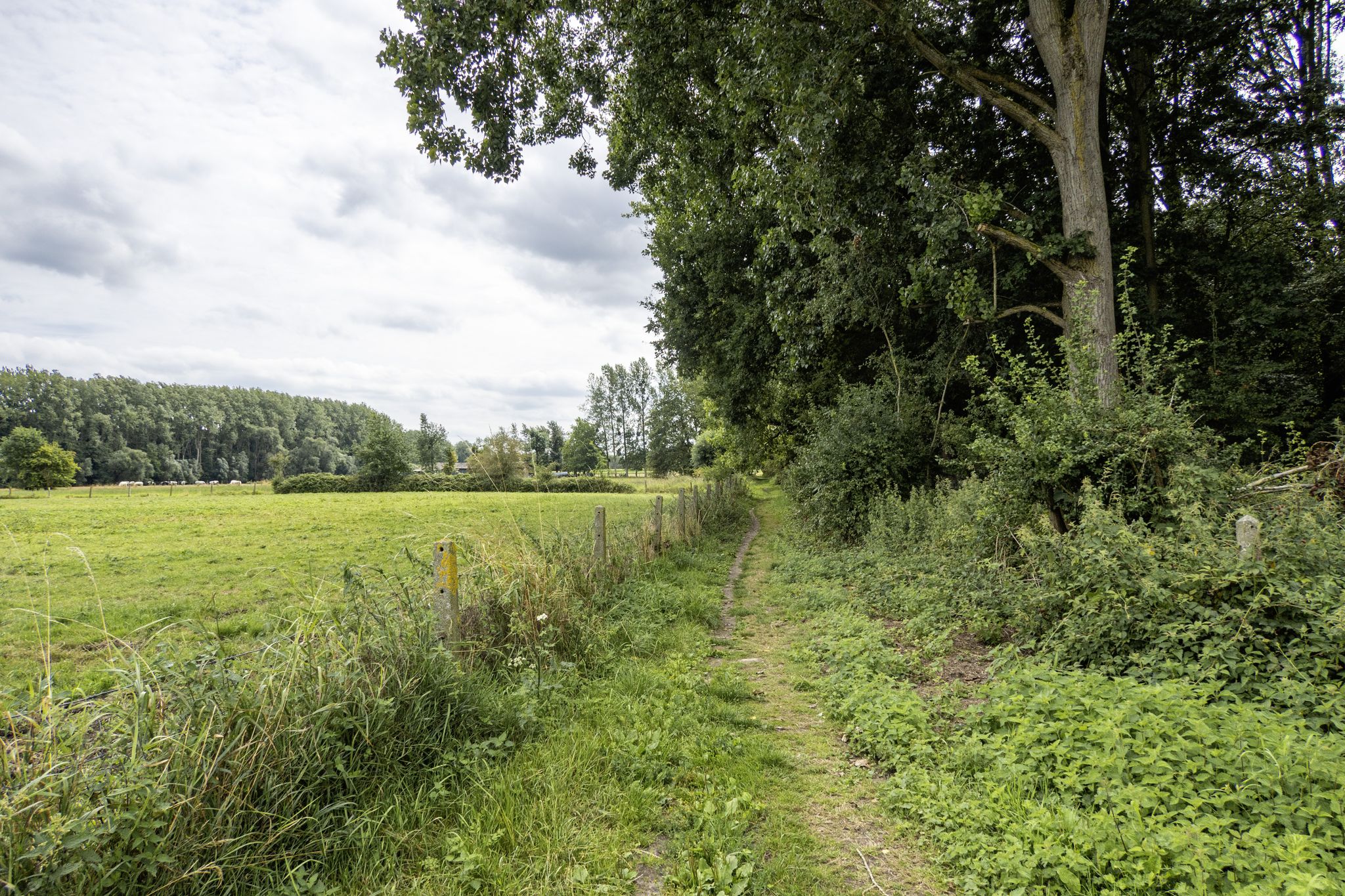 Offroad naar Liedekerke