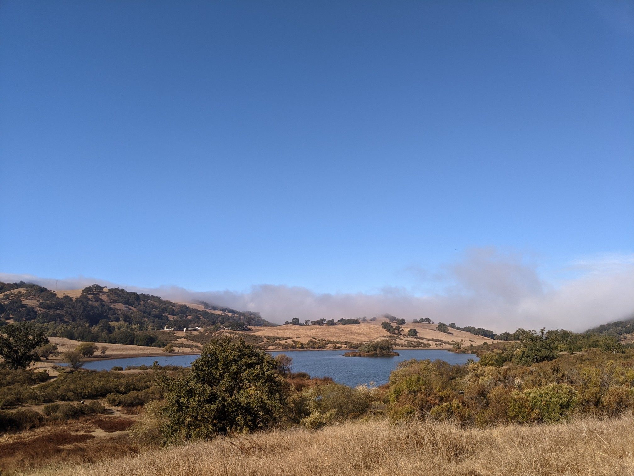 Expansive lake surrounded by dry hills with distant fog under a clear sky. - Bass Lake Loop
