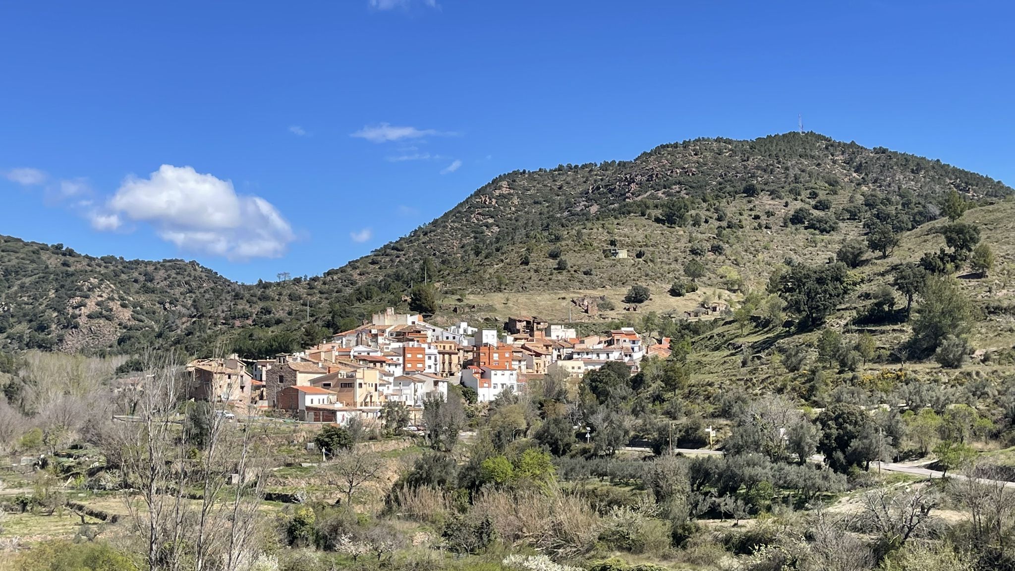 Higueras
