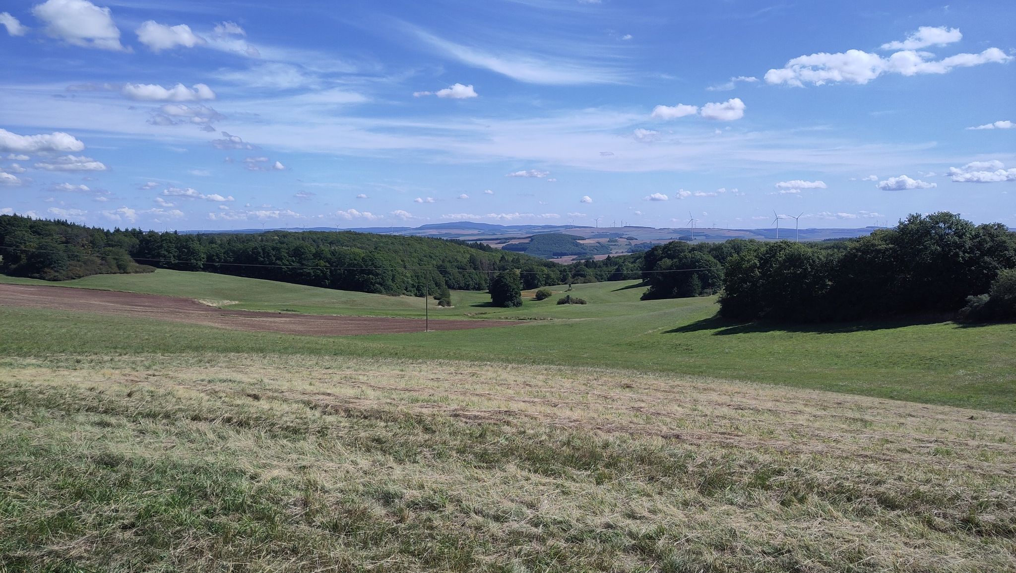 Richtung Donnersberg