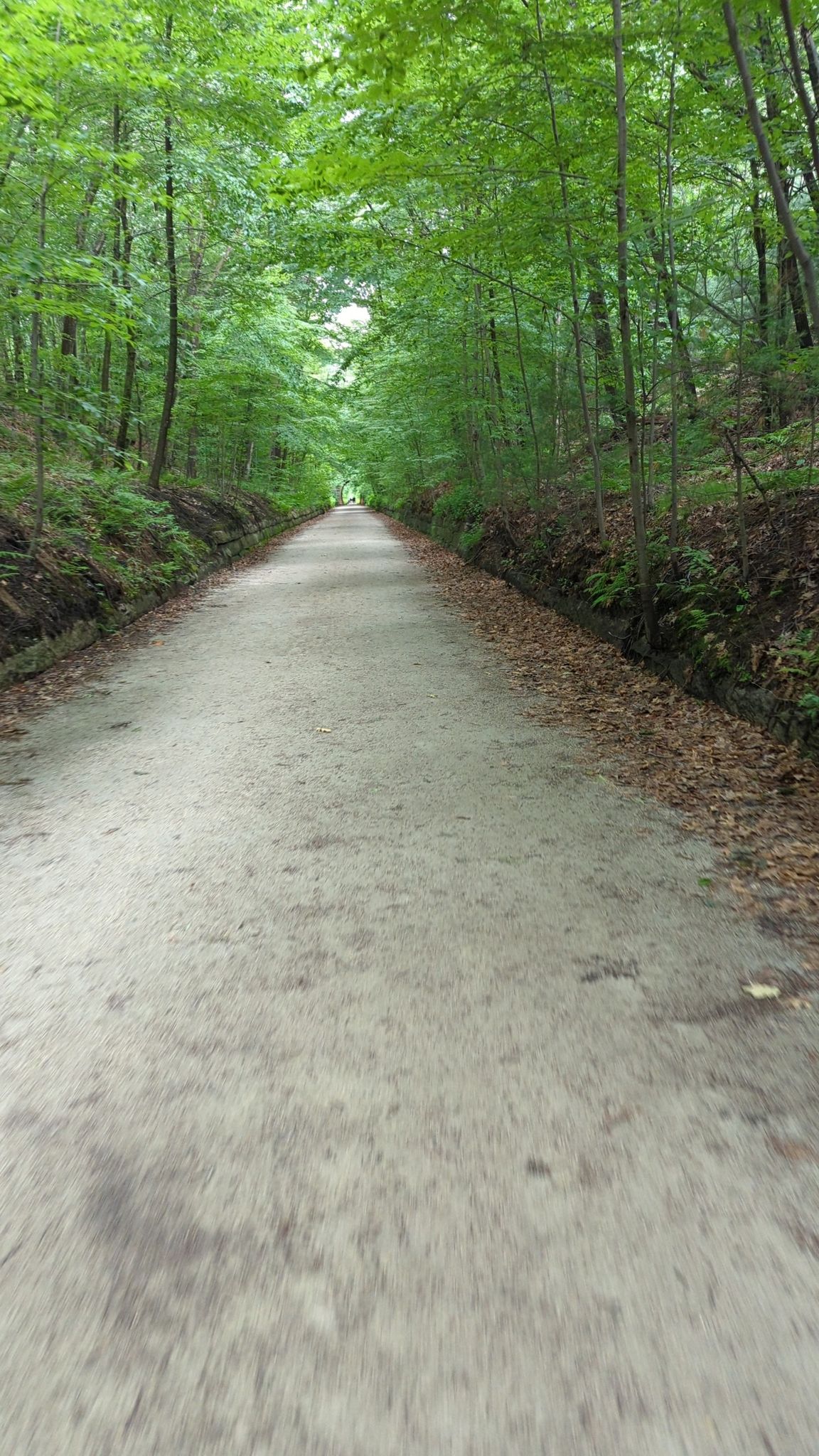 Long, straight dirt path through a dense green forest with retaining walls. - Hopkinton Reservoir loop from Holliston