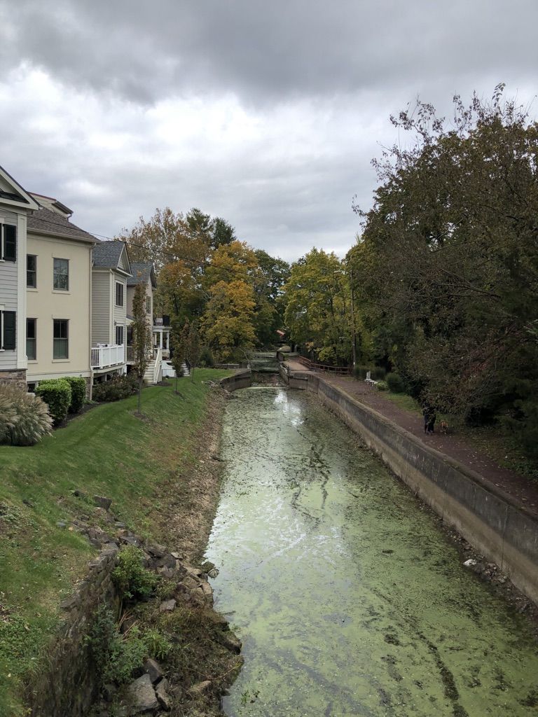A narrow canal covered in green algae, bordered by houses and trees. - View of the Delaware River – New Hope loop from New Hope