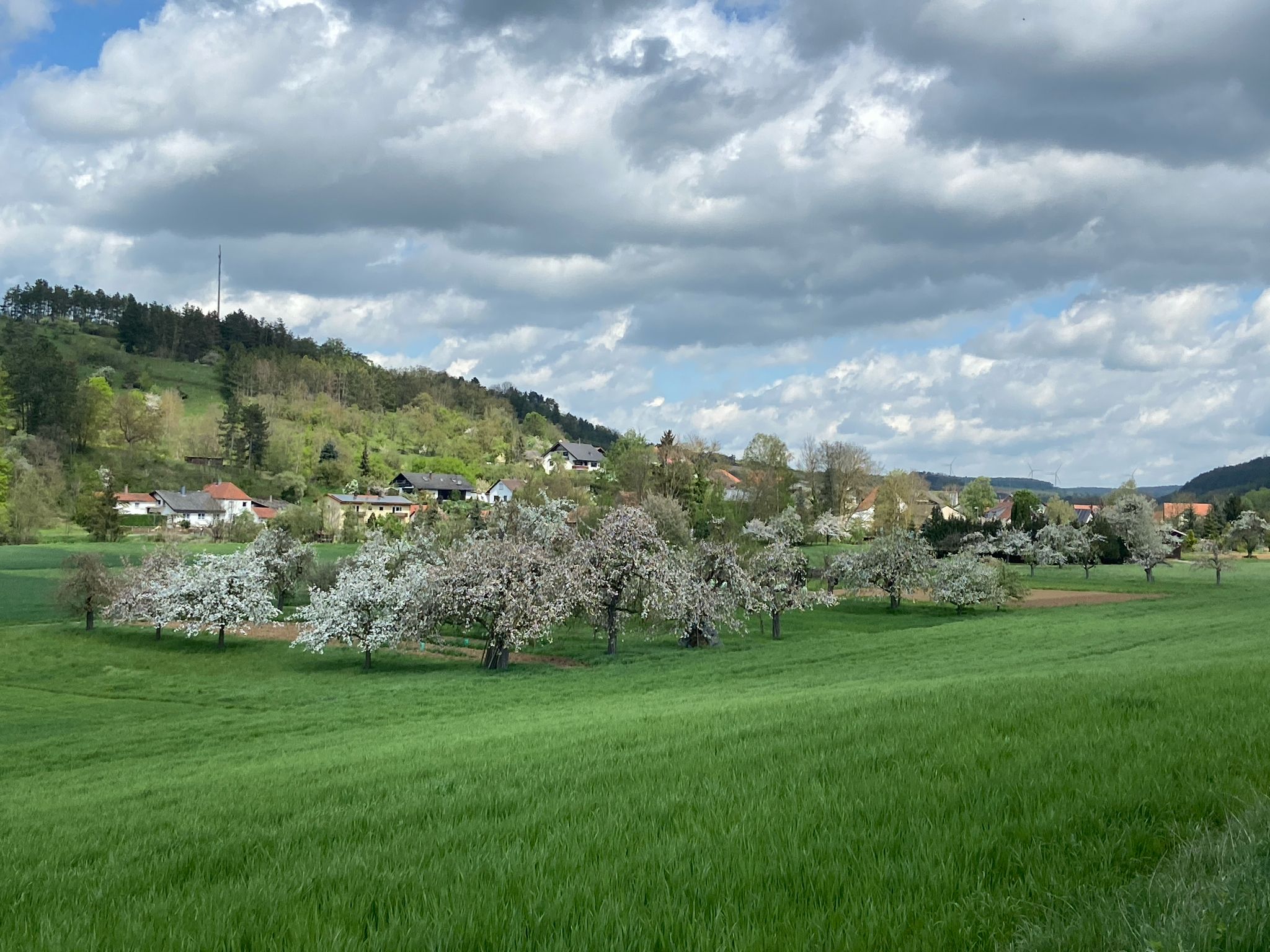 Werbachhausem