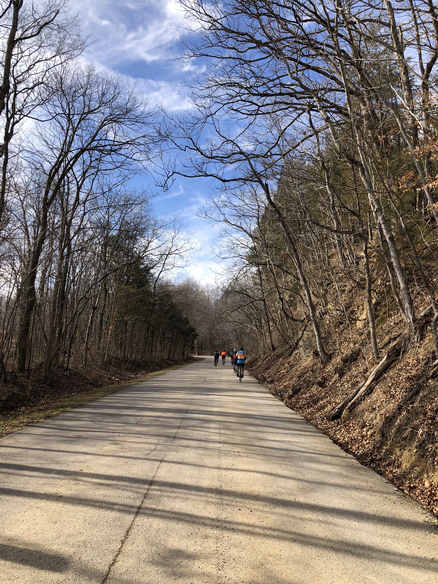 Cyclists on a sunny paved road through a winter forest with bare trees. - Natchez Trace - Franklin Loop