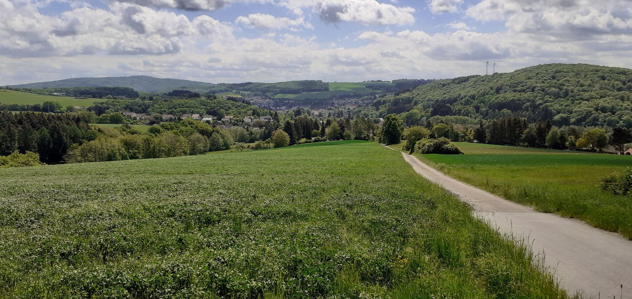 Blick auf Kusel.