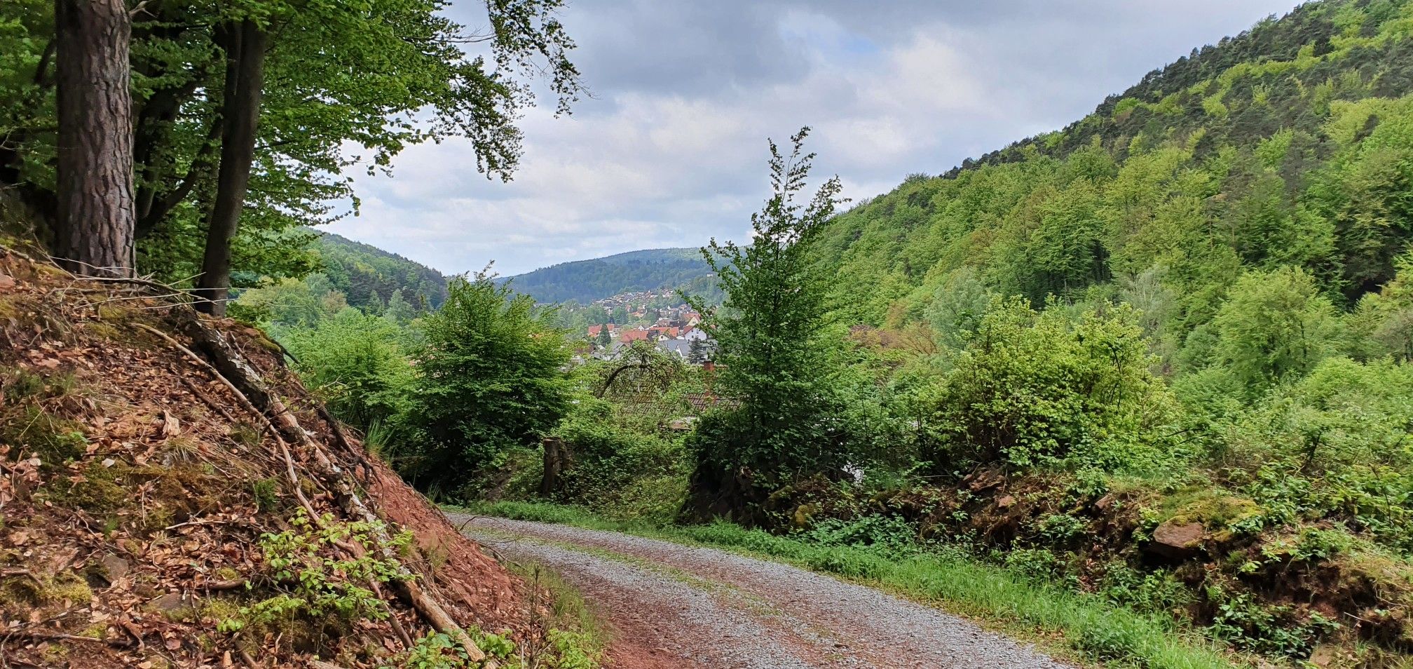 Blick auf Heimbuchenthal